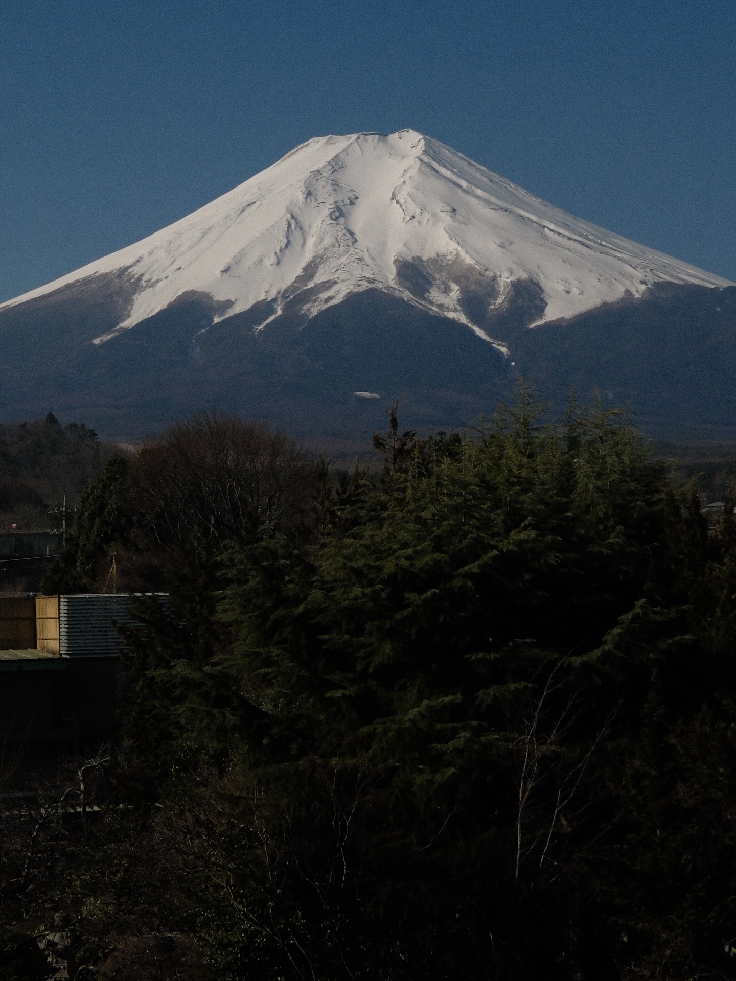 หมาก - ปริญ สุภารัตน์