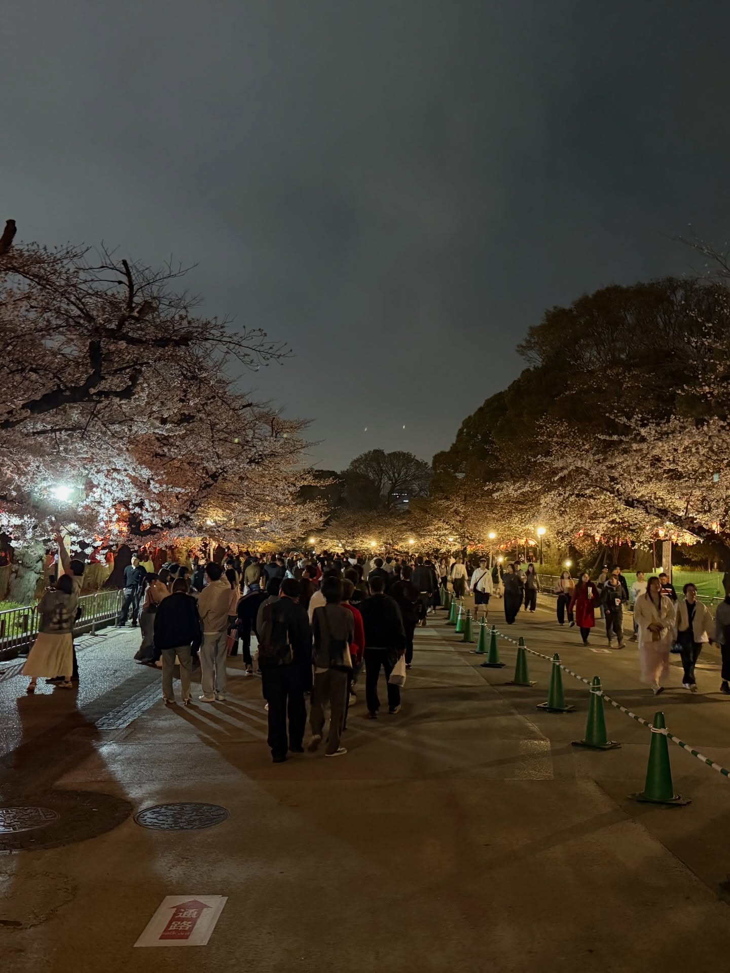 หมาก - ปริญ สุภารัตน์