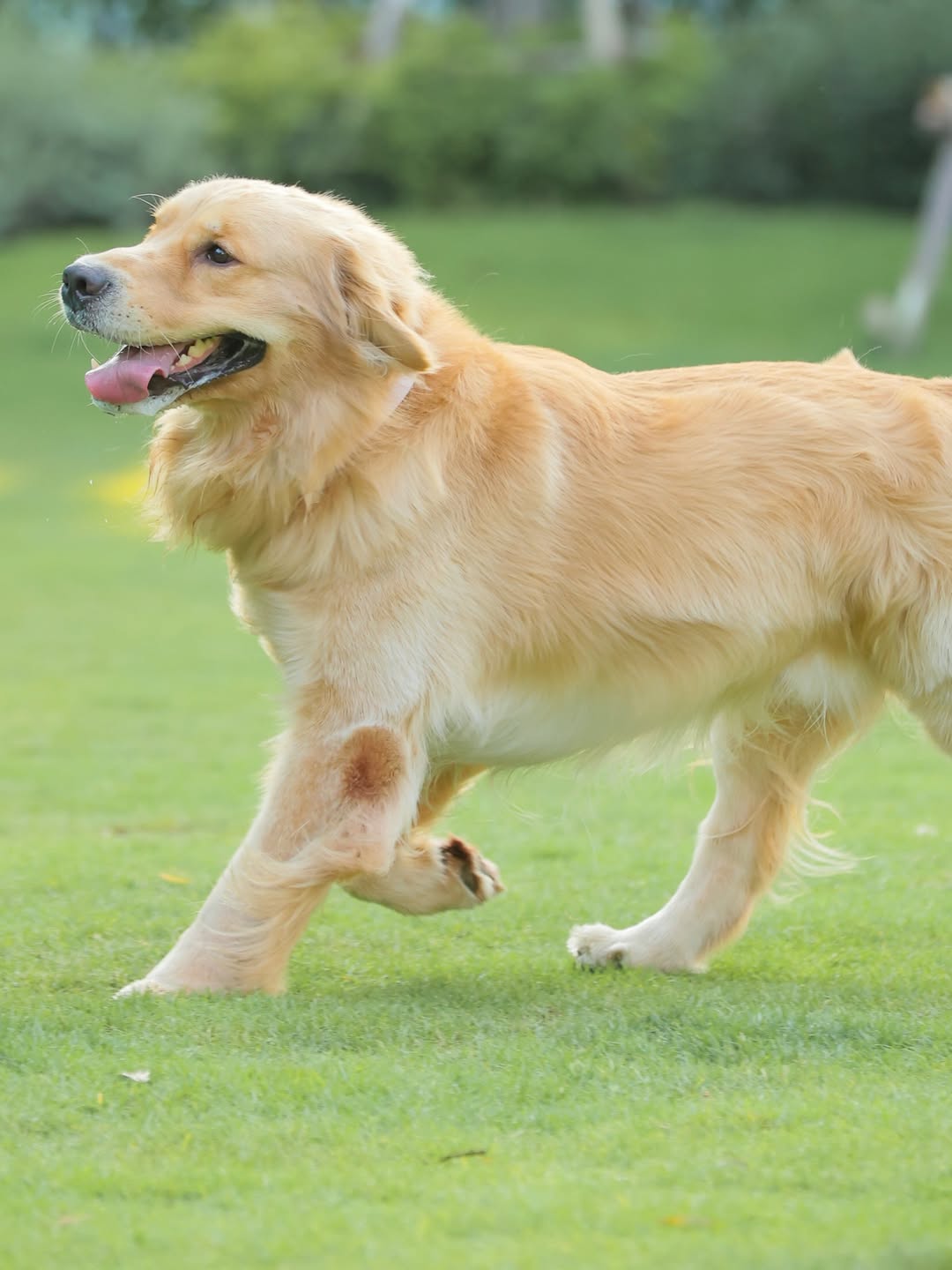 หมาก - ปริญ สุภารัตน์