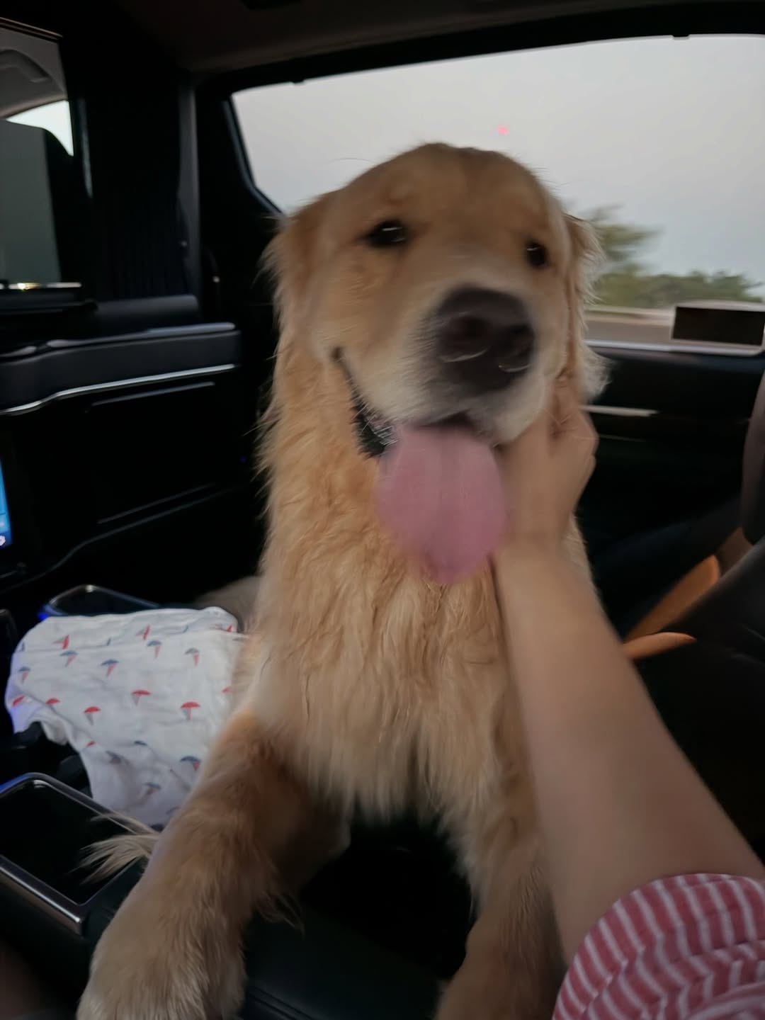 หมาก - ปริญ สุภารัตน์