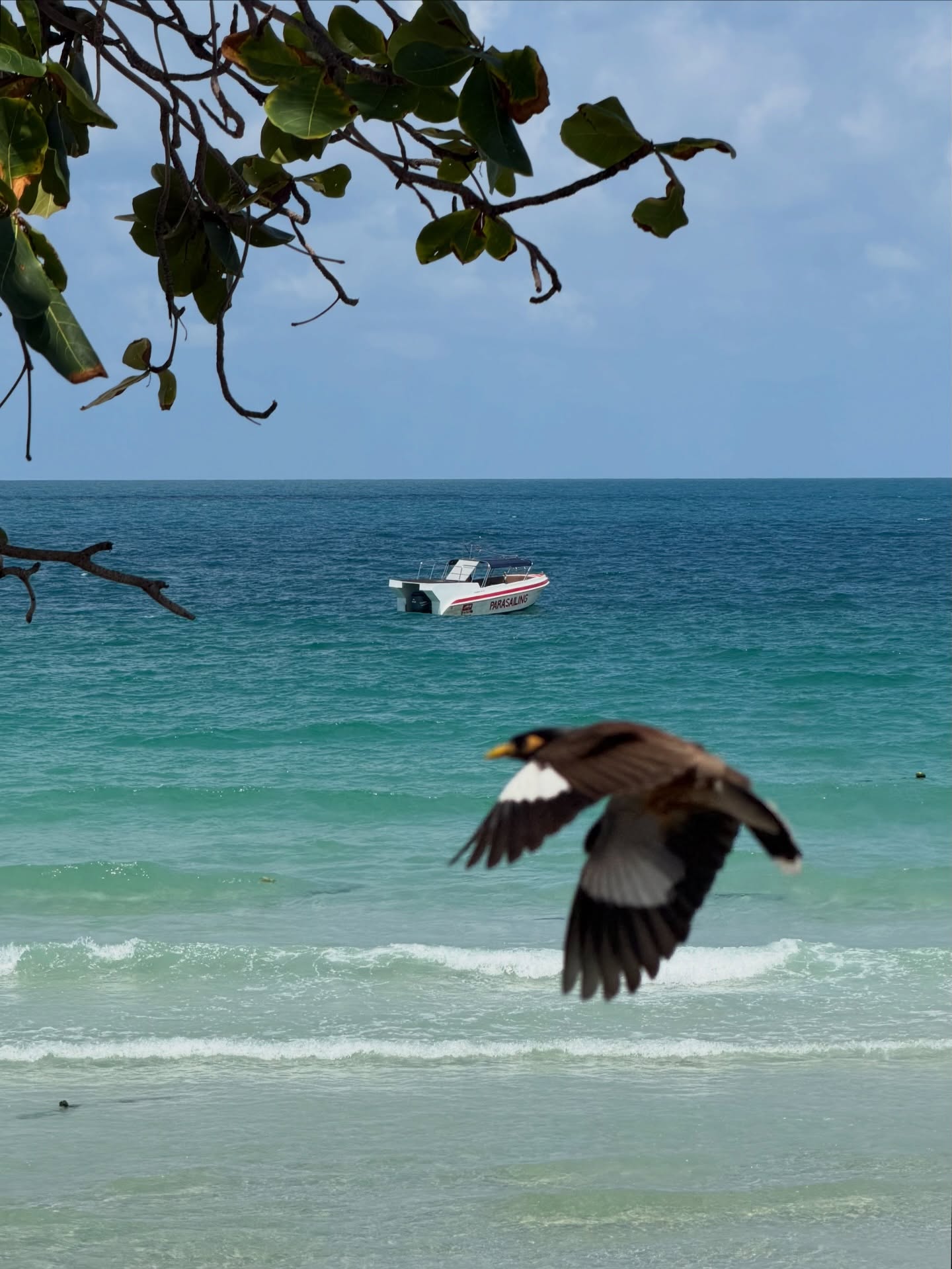 หมาก - ปริญ สุภารัตน์