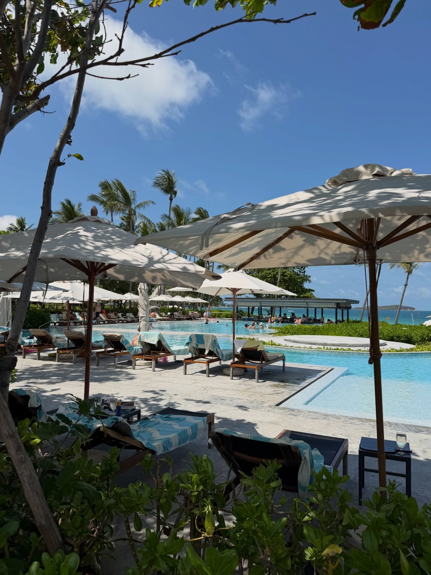 หมาก - ปริญ สุภารัตน์