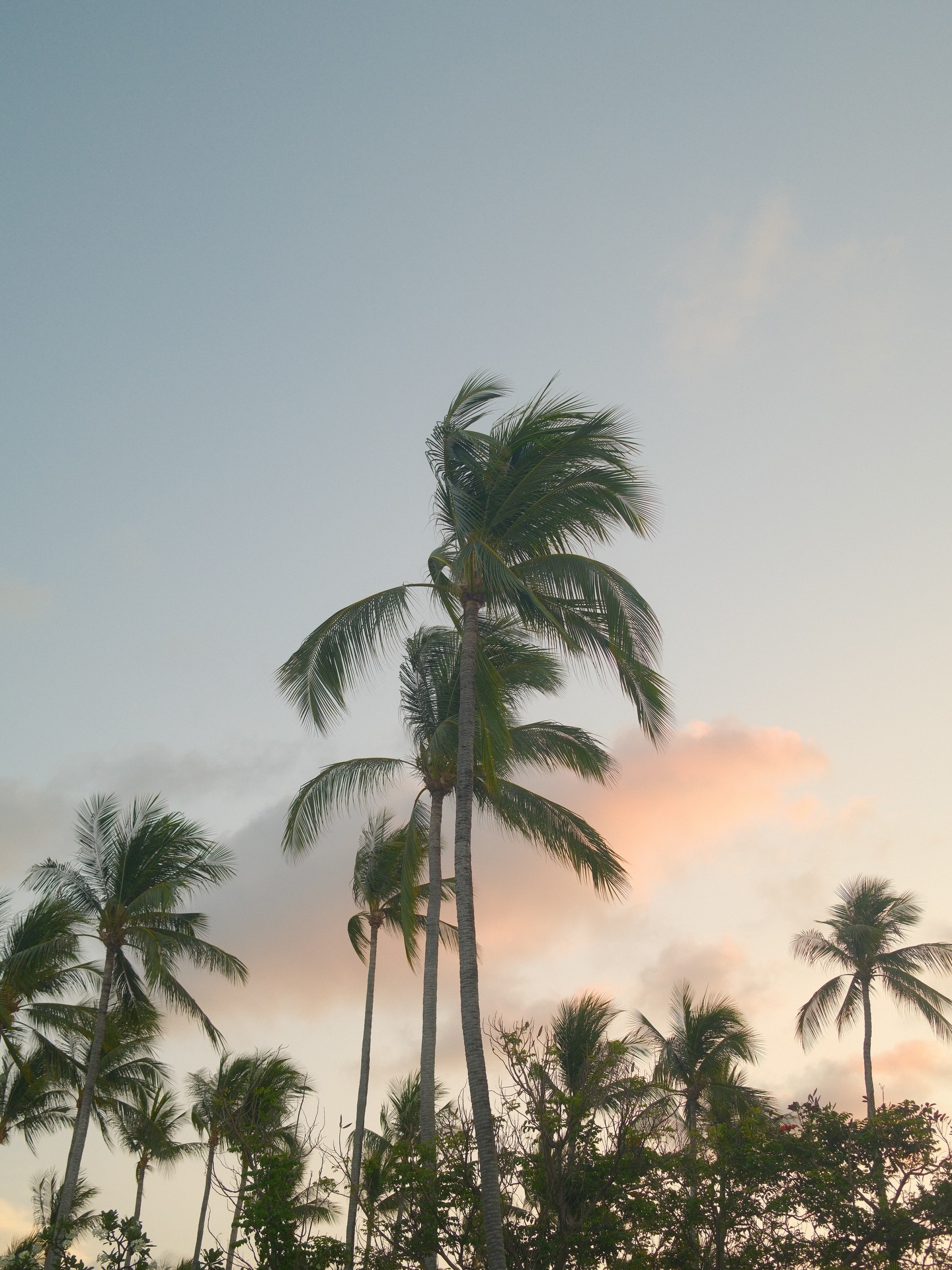 หมาก - ปริญ สุภารัตน์