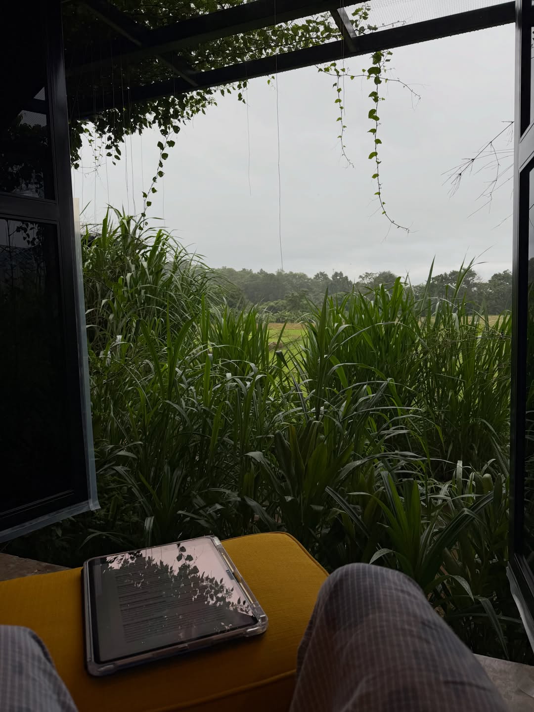 หมาก - ปริญ สุภารัตน์
