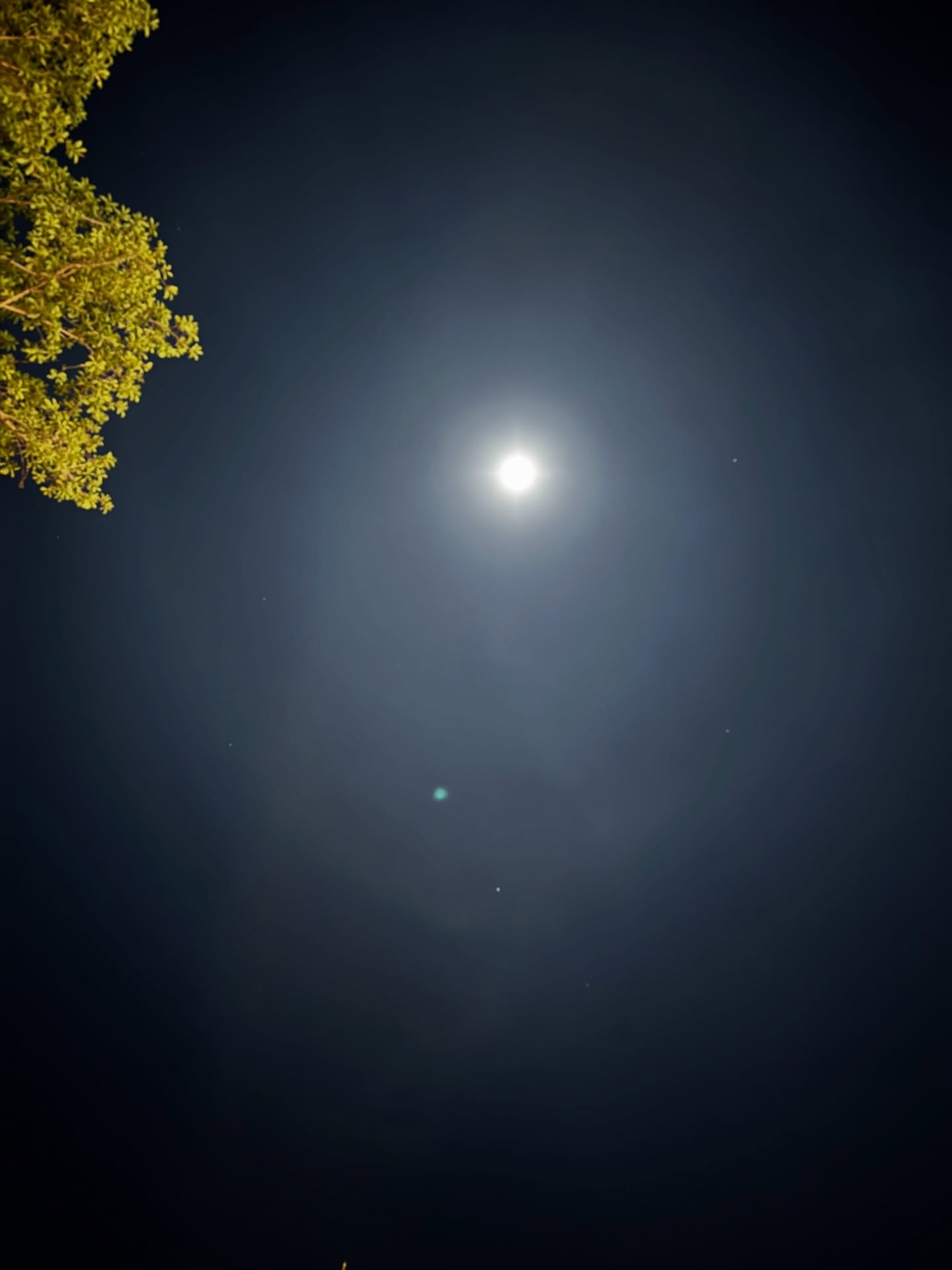 เก้า - นพเก้า เดชาพัฒนคุณ