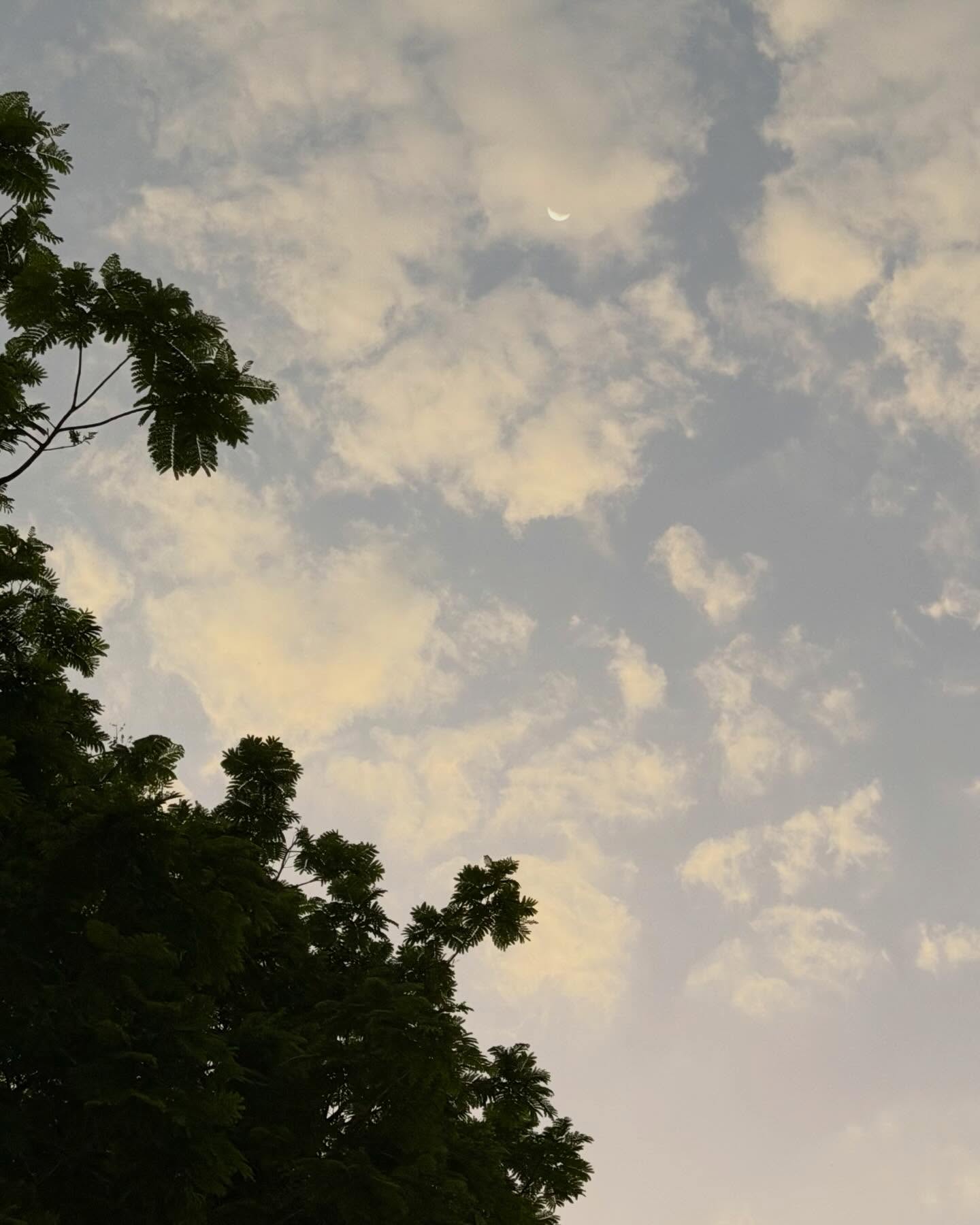 เก้า - นพเก้า เดชาพัฒนคุณ