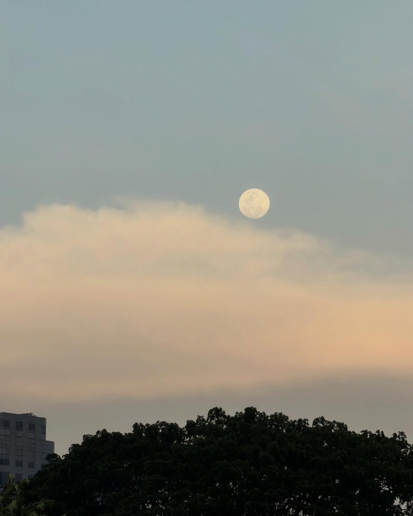 เก้า - นพเก้า เดชาพัฒนคุณ