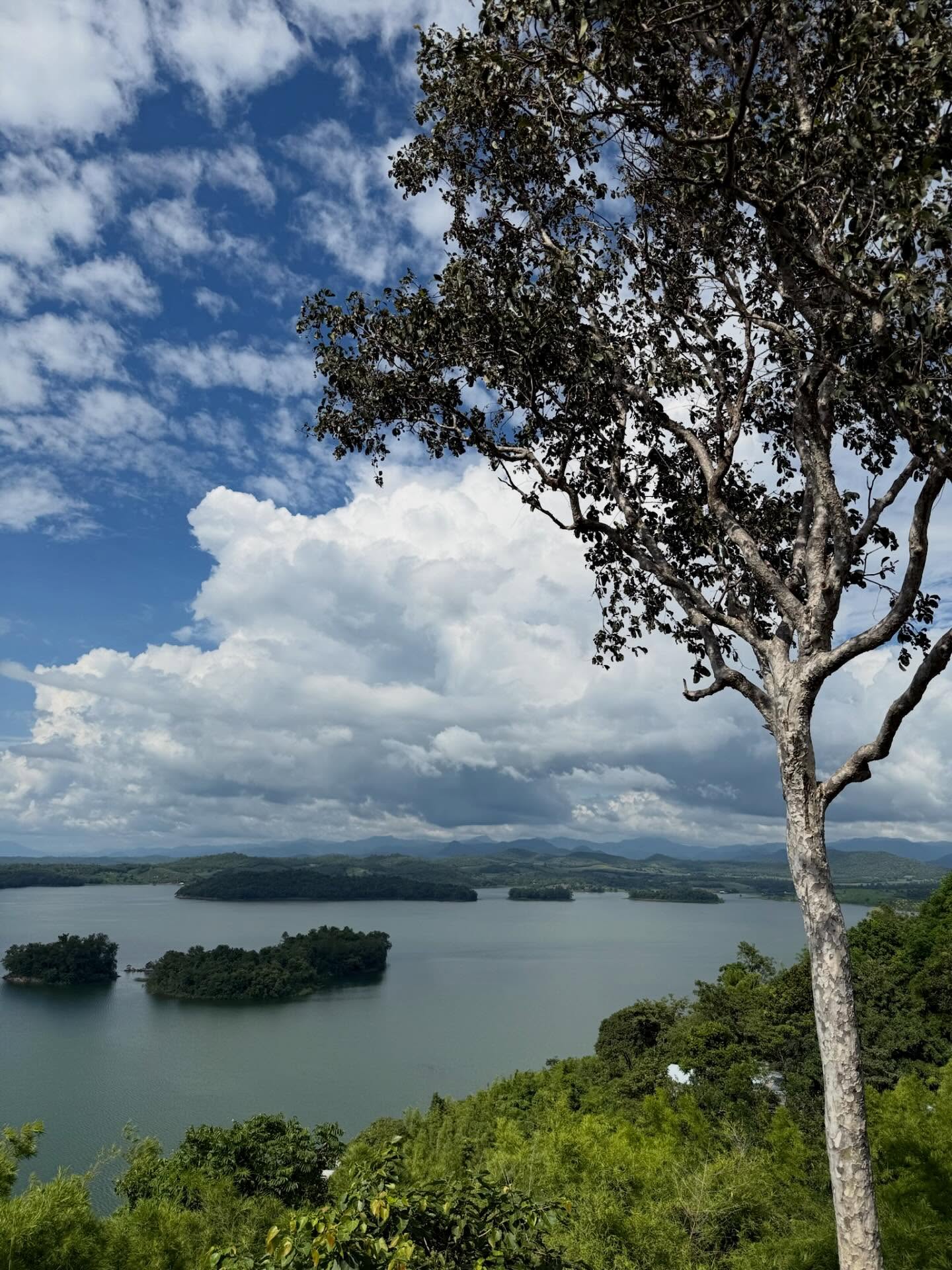 พิชญ์ กาไชย