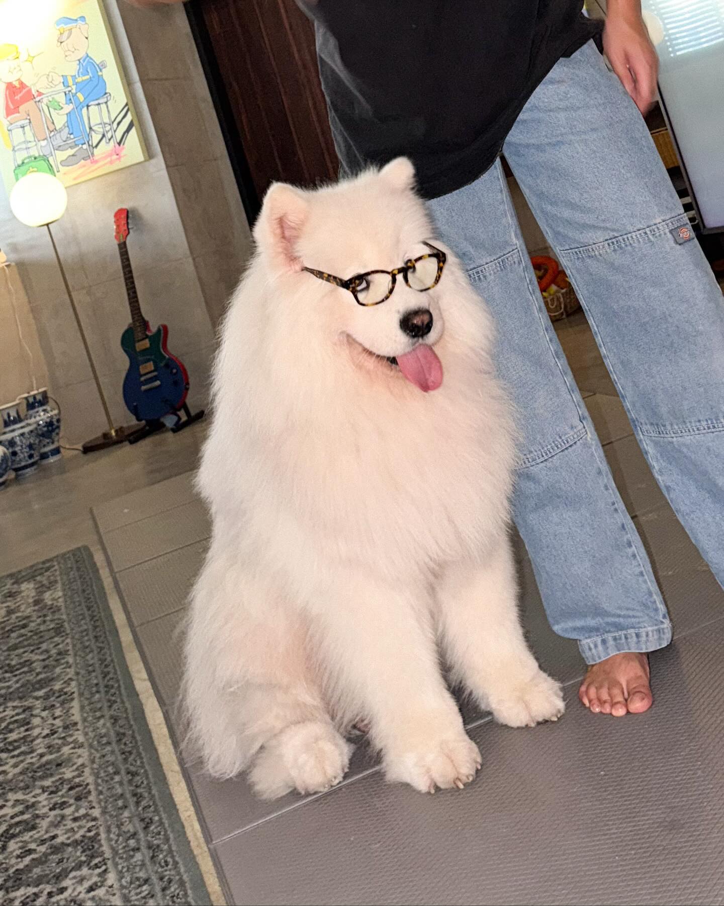 พิชญ์ กาไชย