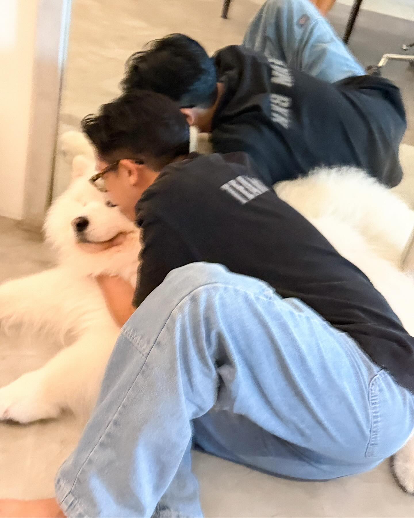 พิชญ์ กาไชย