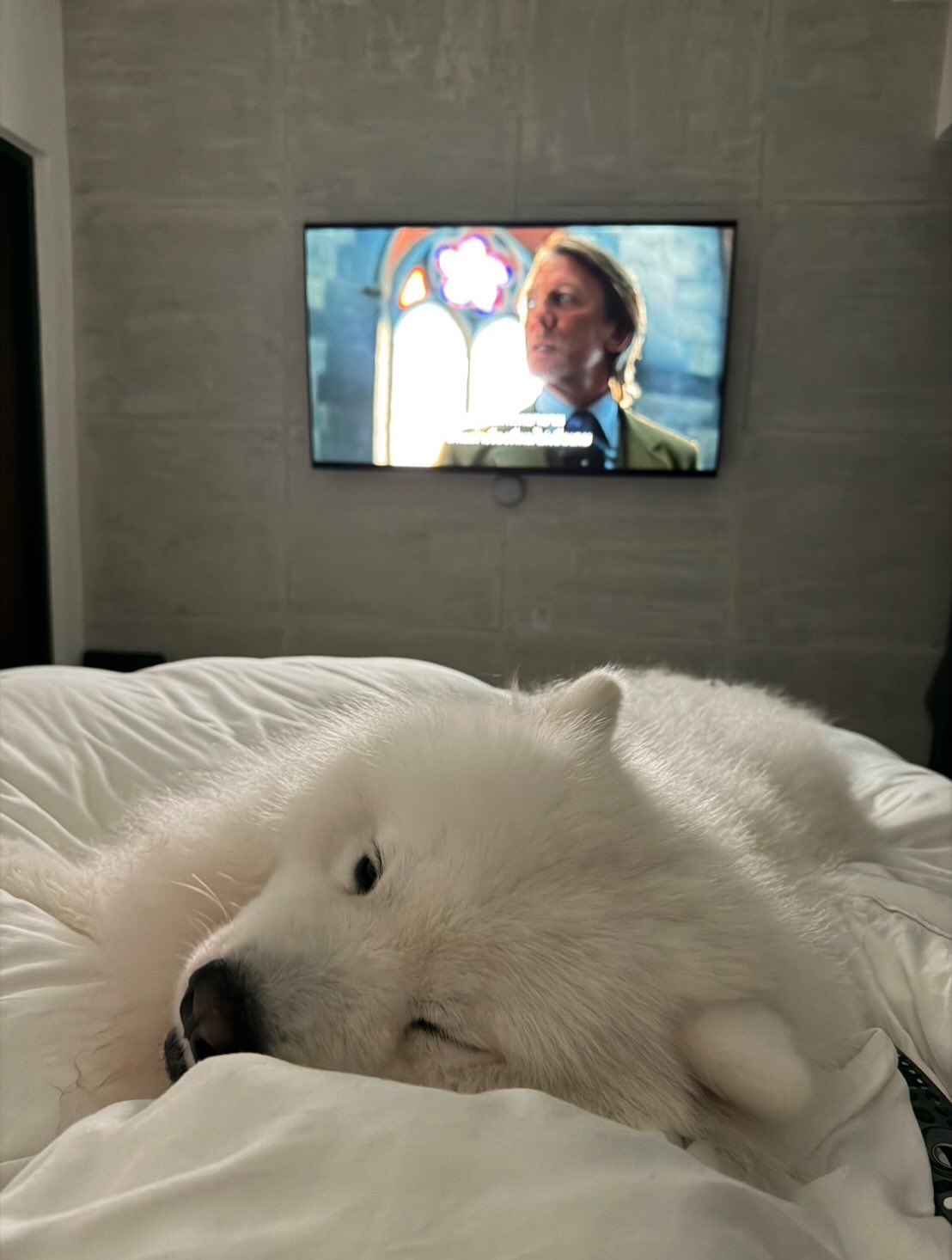 พิชญ์ กาไชย