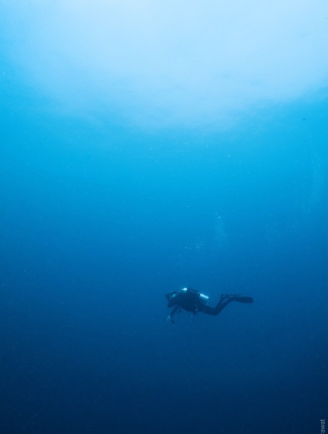 พิชญ์ กาไชย