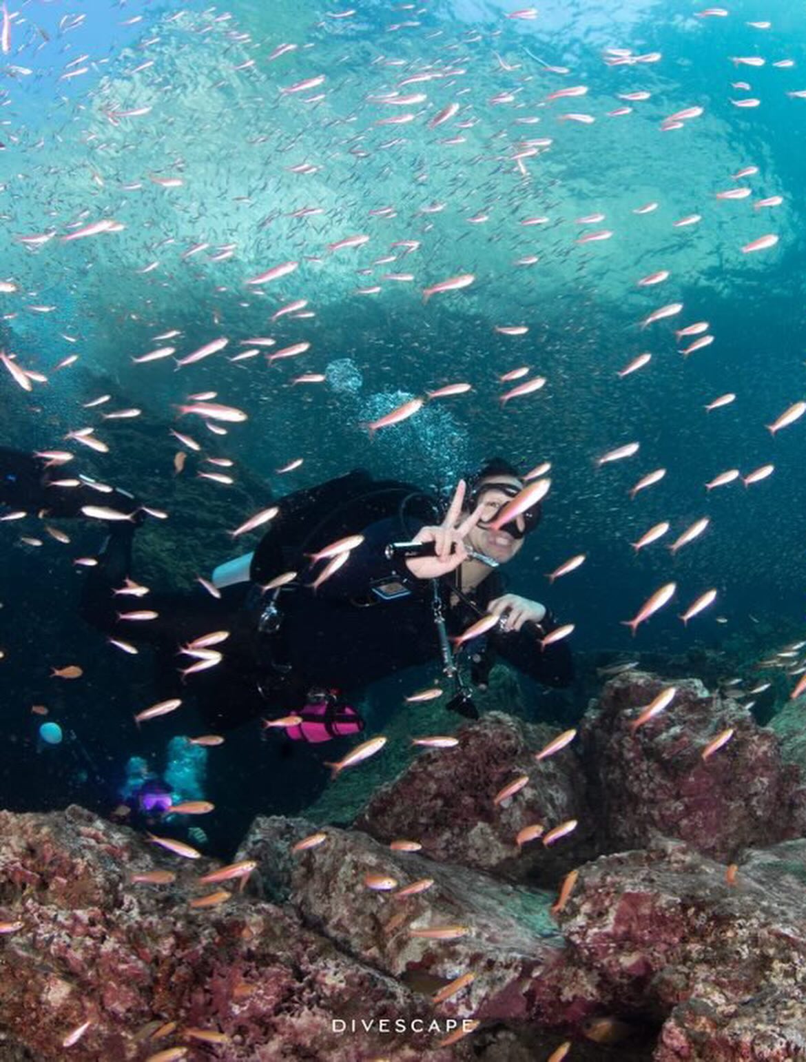 พิชญ์ กาไชย