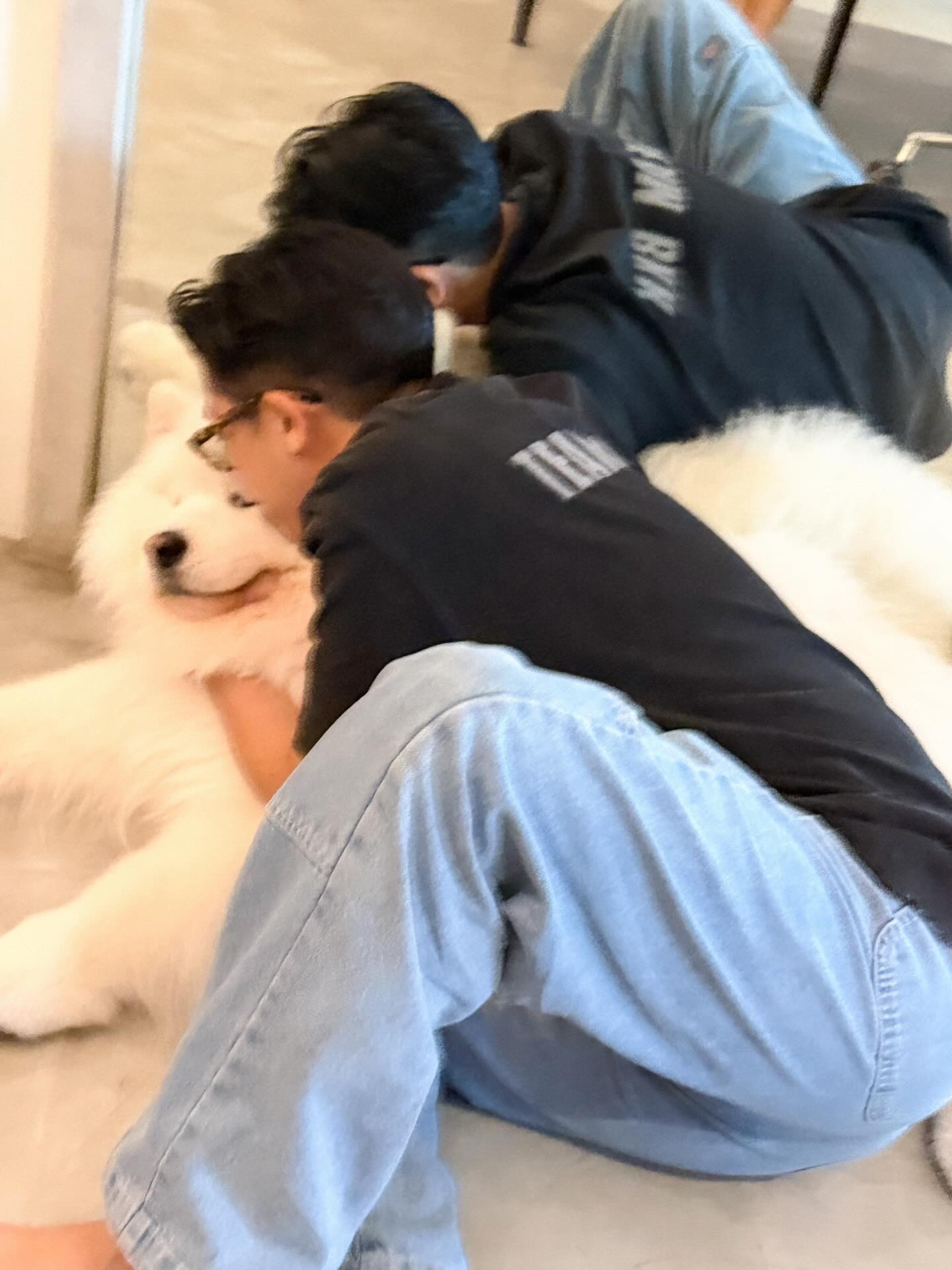 พิชญ์ กาไชย