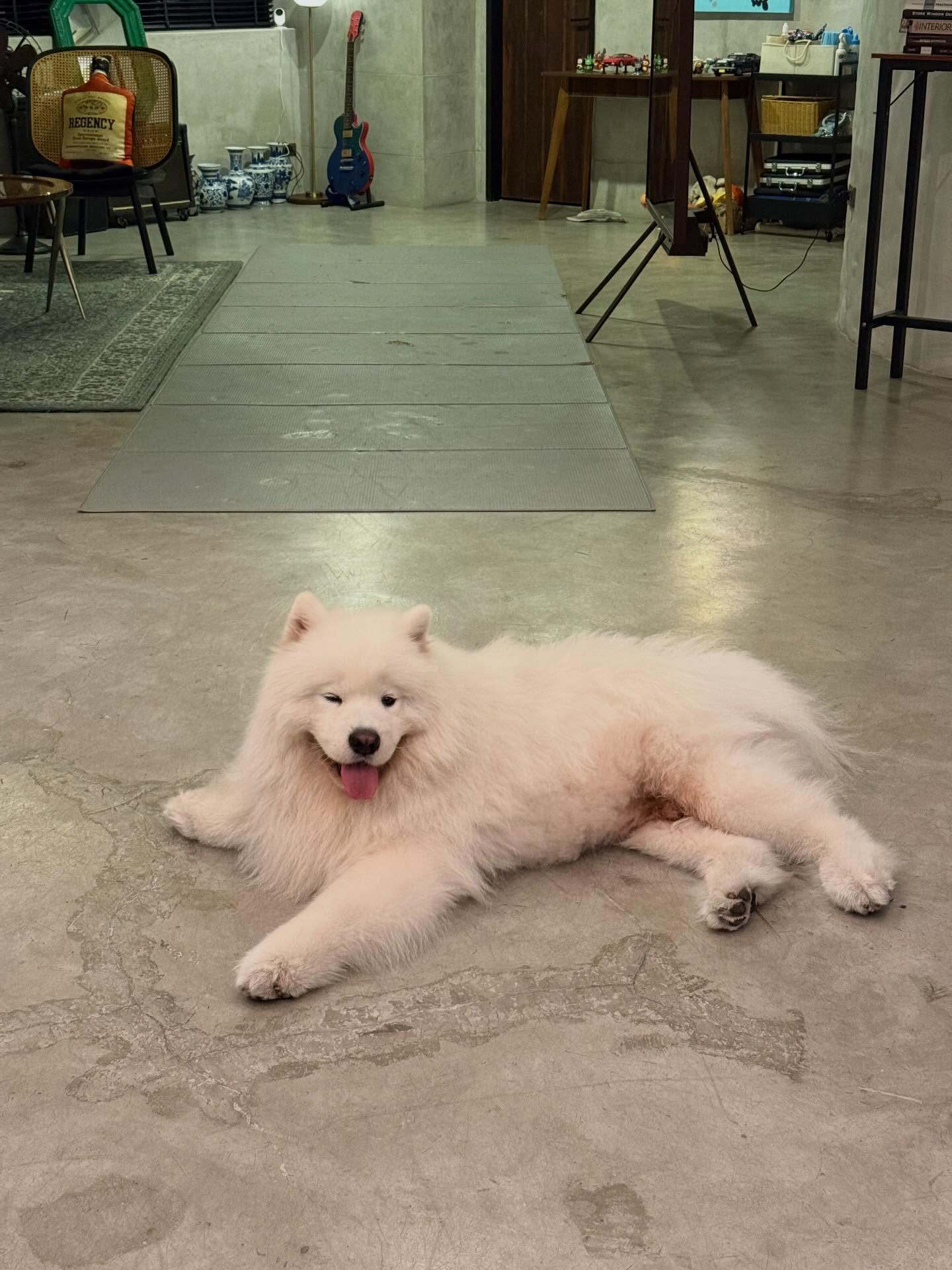 พิชญ์ กาไชย