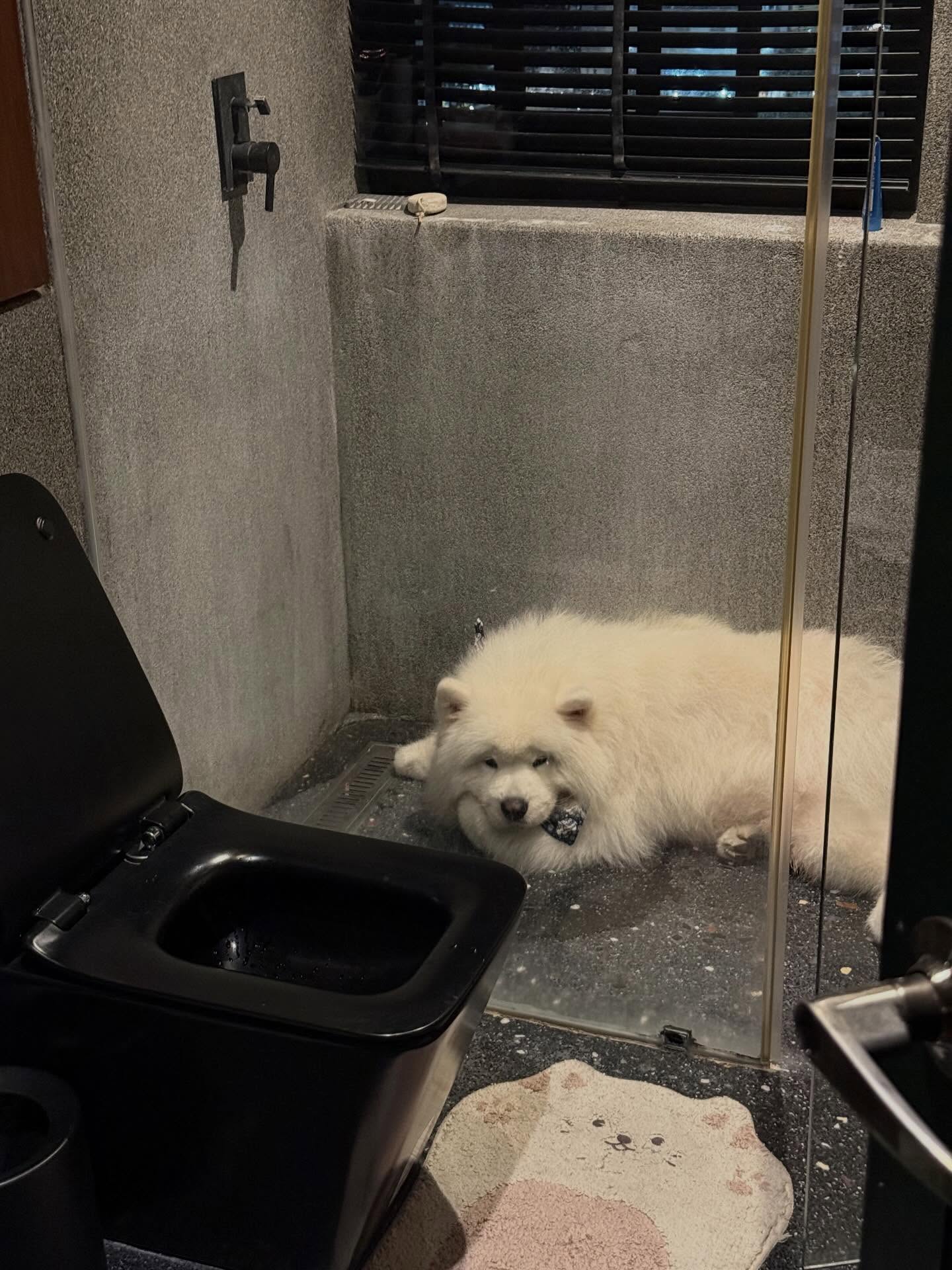 พิชญ์ กาไชย