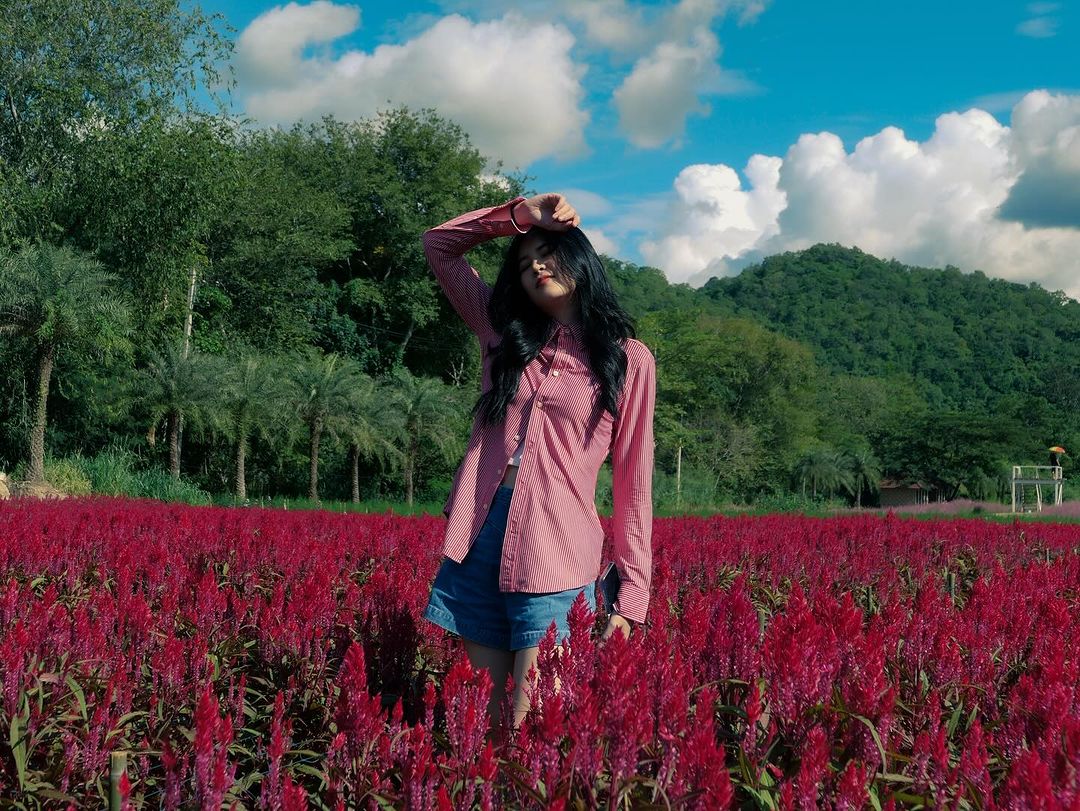 แอปเปิ้ล - ลาภิสรา อินทรสูต