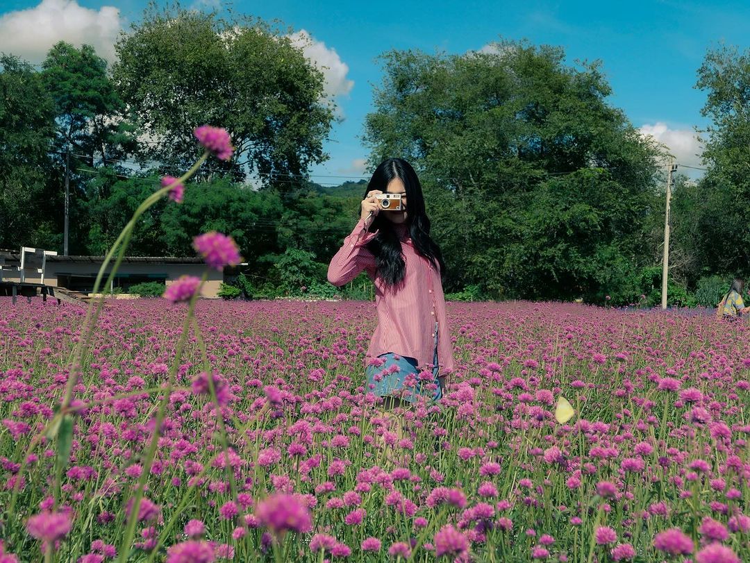 แอปเปิ้ล - ลาภิสรา อินทรสูต