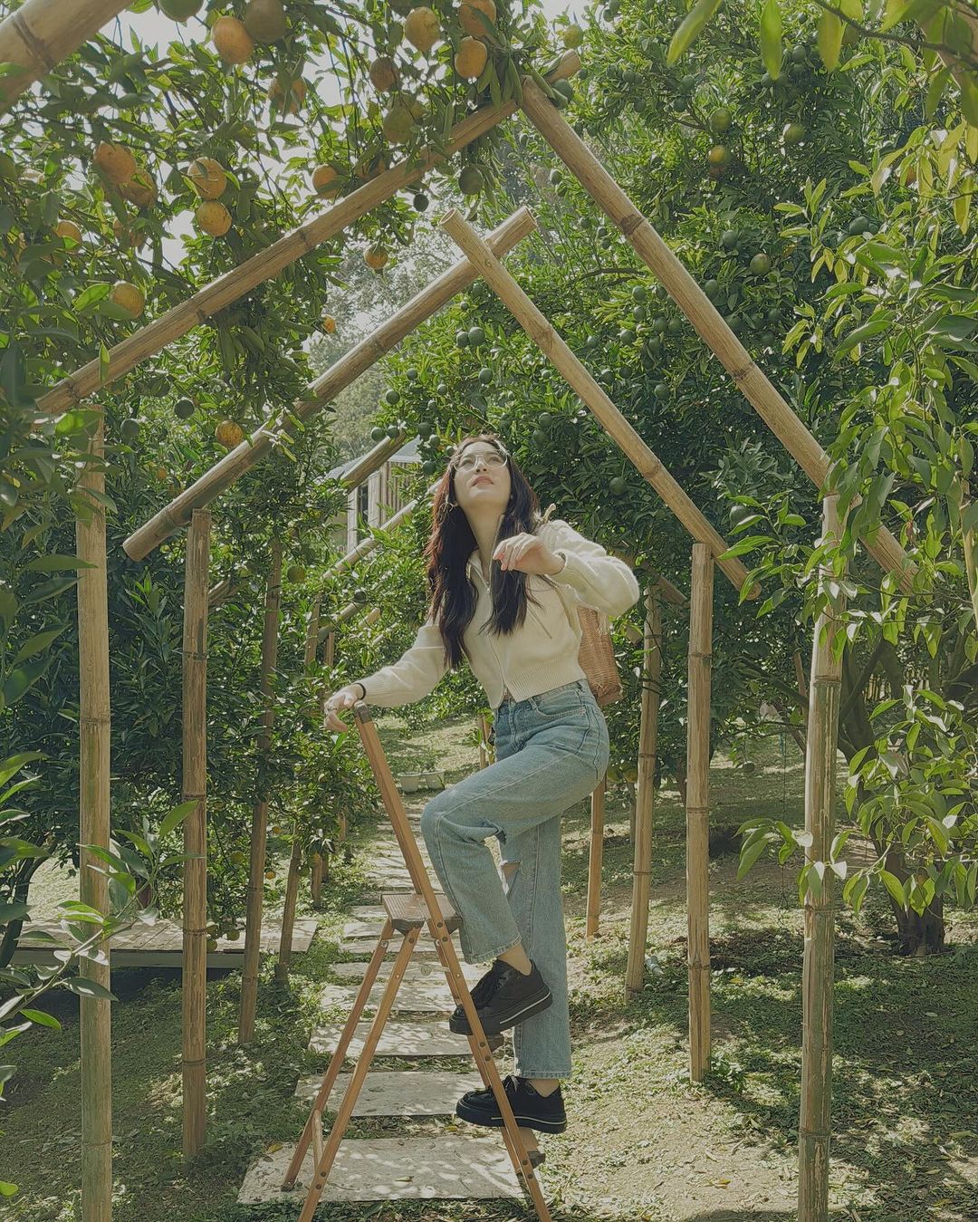 แอปเปิ้ล - ลาภิสรา อินทรสูต