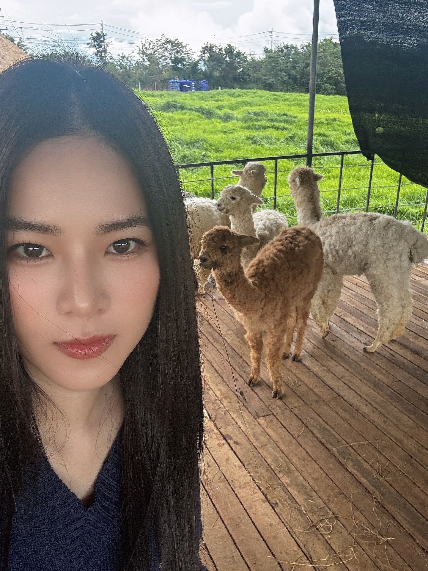 แอปเปิ้ล - ลาภิสรา อินทรสูต