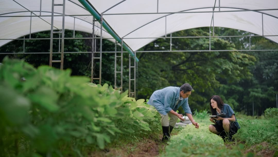 แอปเปิ้ล - ลาภิสรา อินทรสูต