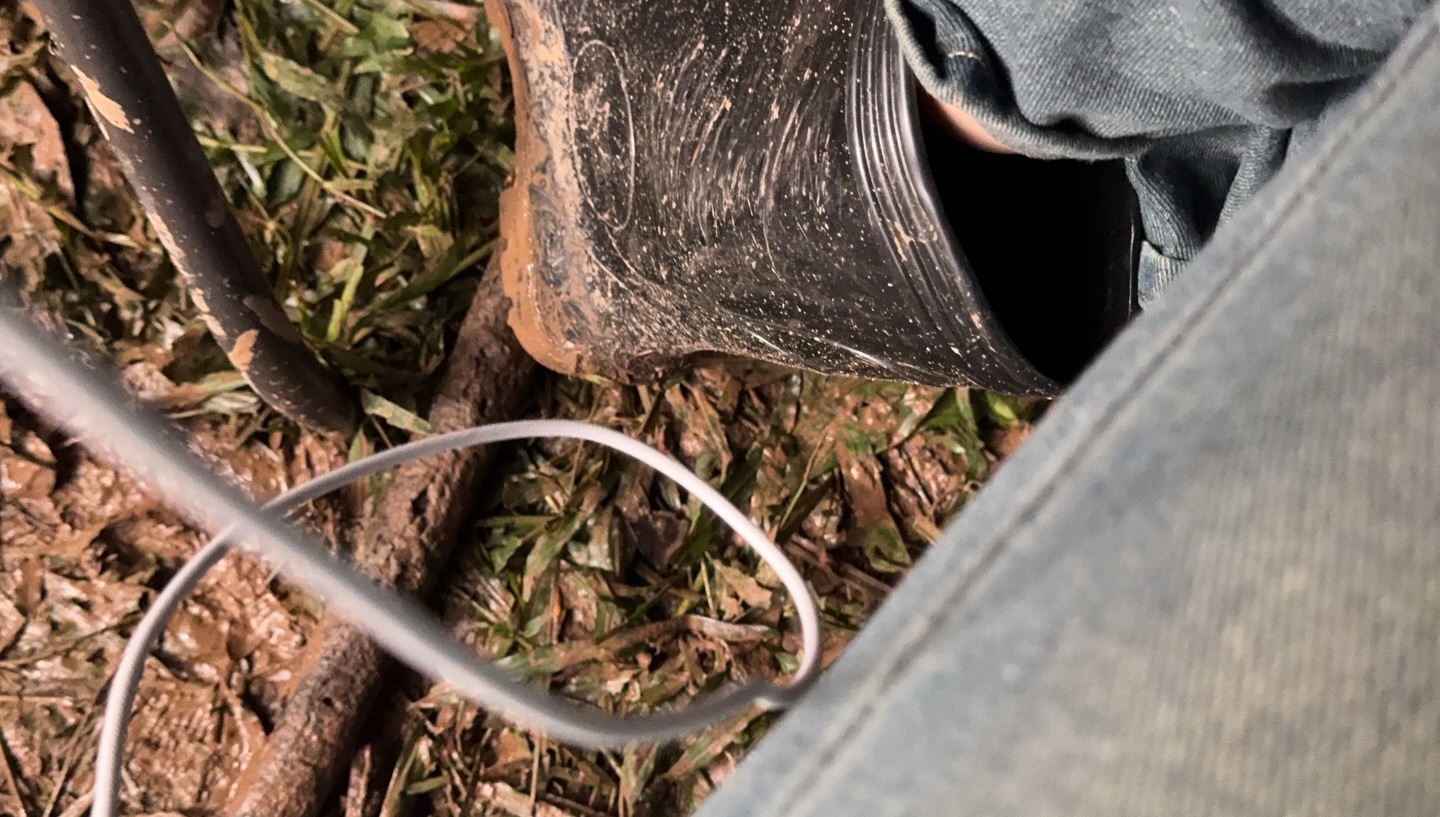 แอปเปิ้ล - ลาภิสรา อินทรสูต