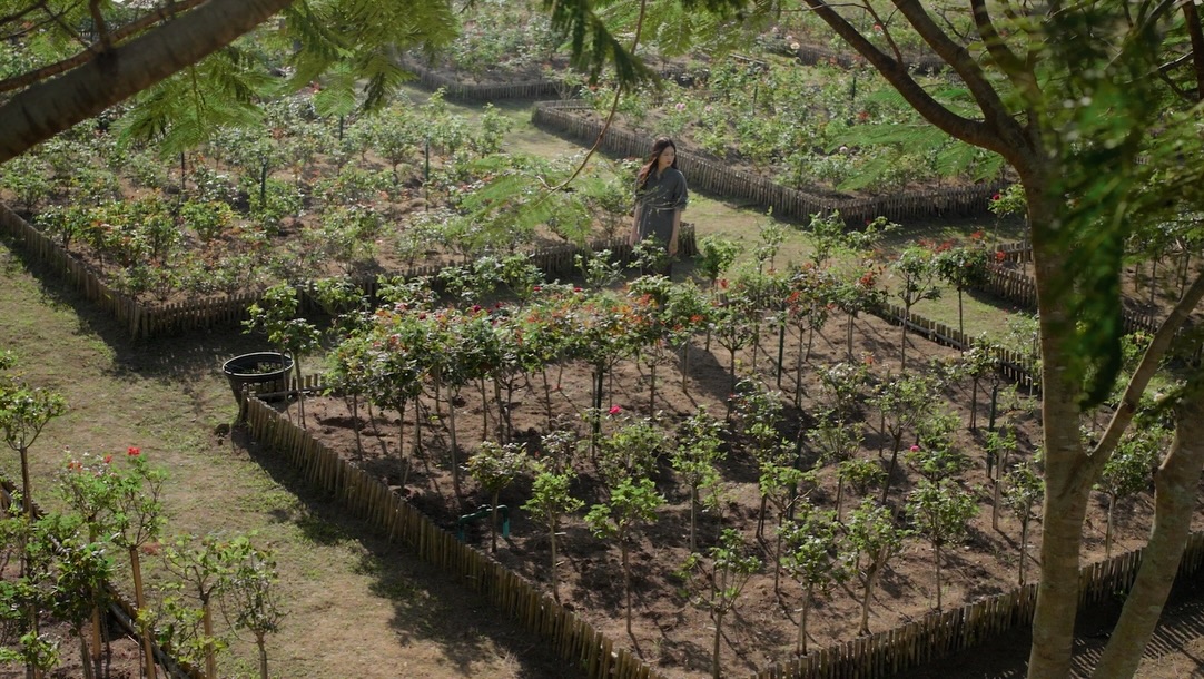 แอปเปิ้ล - ลาภิสรา อินทรสูต