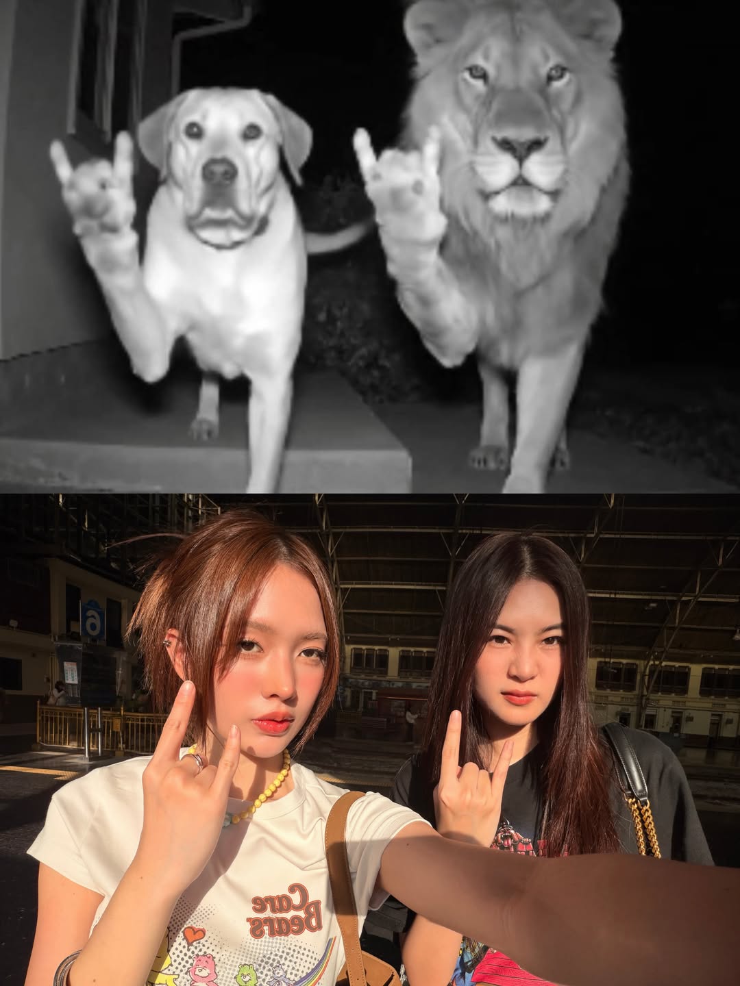 แอปเปิ้ล - ลาภิสรา อินทรสูต