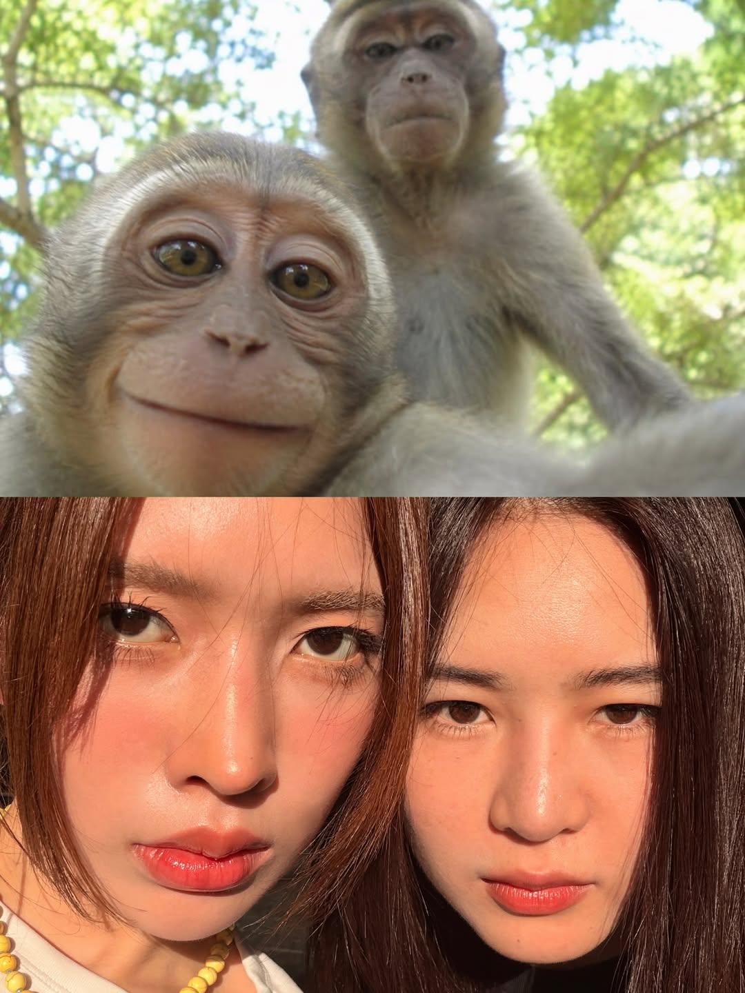 แอปเปิ้ล - ลาภิสรา อินทรสูต