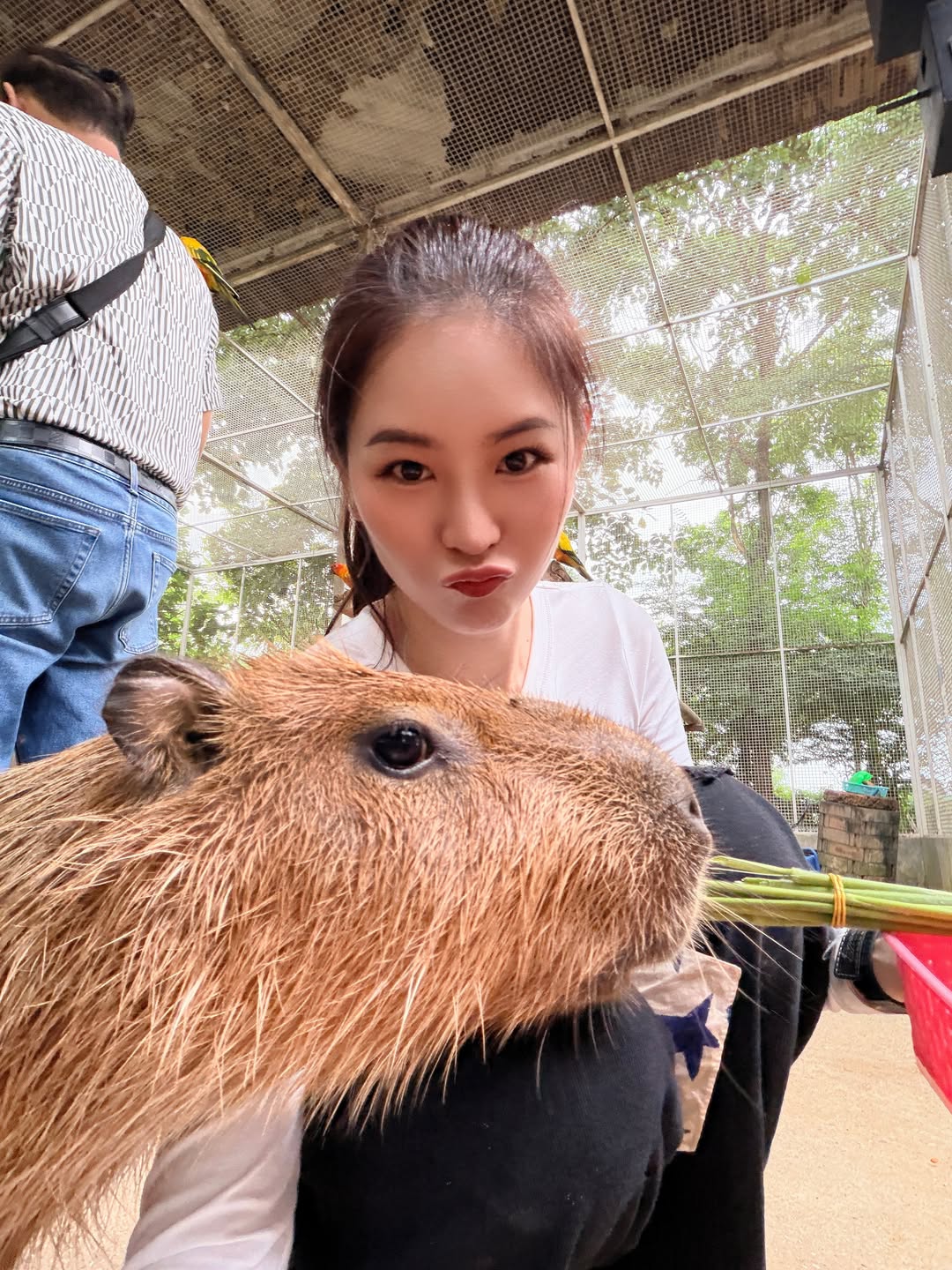 แอปเปิ้ล - ลาภิสรา อินทรสูต