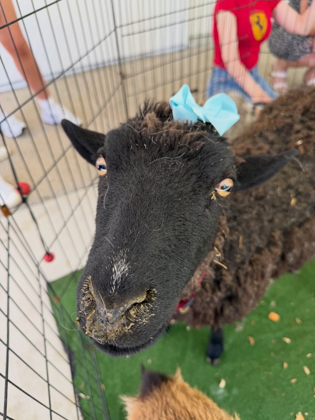 หวาย - ปัญญริสา เธียรประสิทธิ์