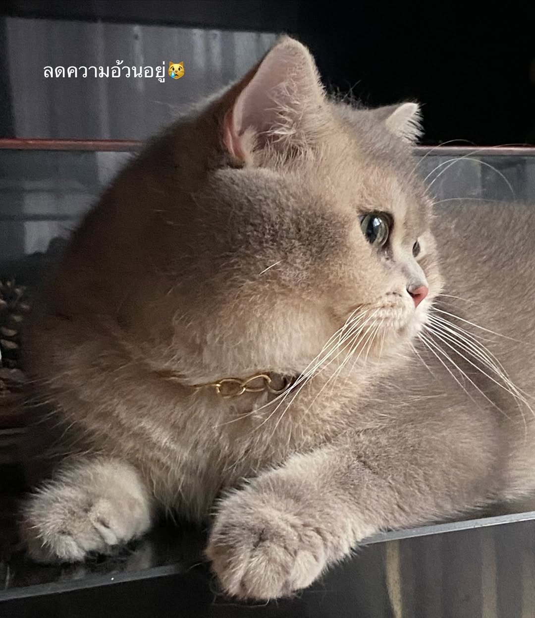 โฟร์ - ศกลรัตน์ วรอุไร