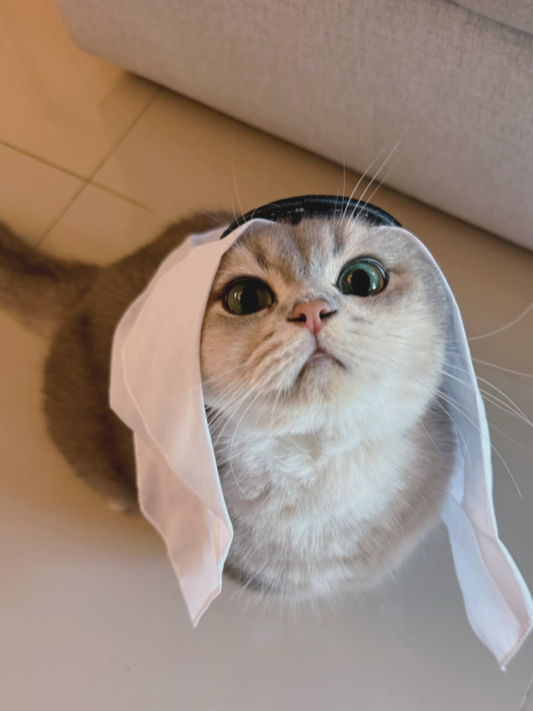 โฟร์ - ศกลรัตน์ วรอุไร