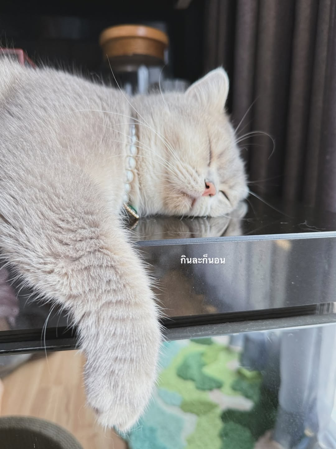 โฟร์ - ศกลรัตน์ วรอุไร