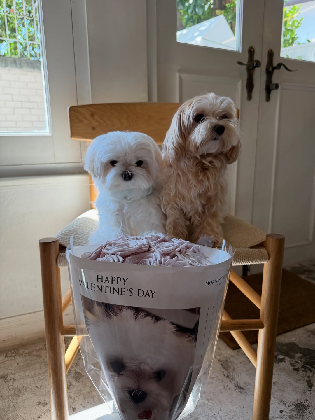 โฟร์ - ศกลรัตน์ วรอุไร