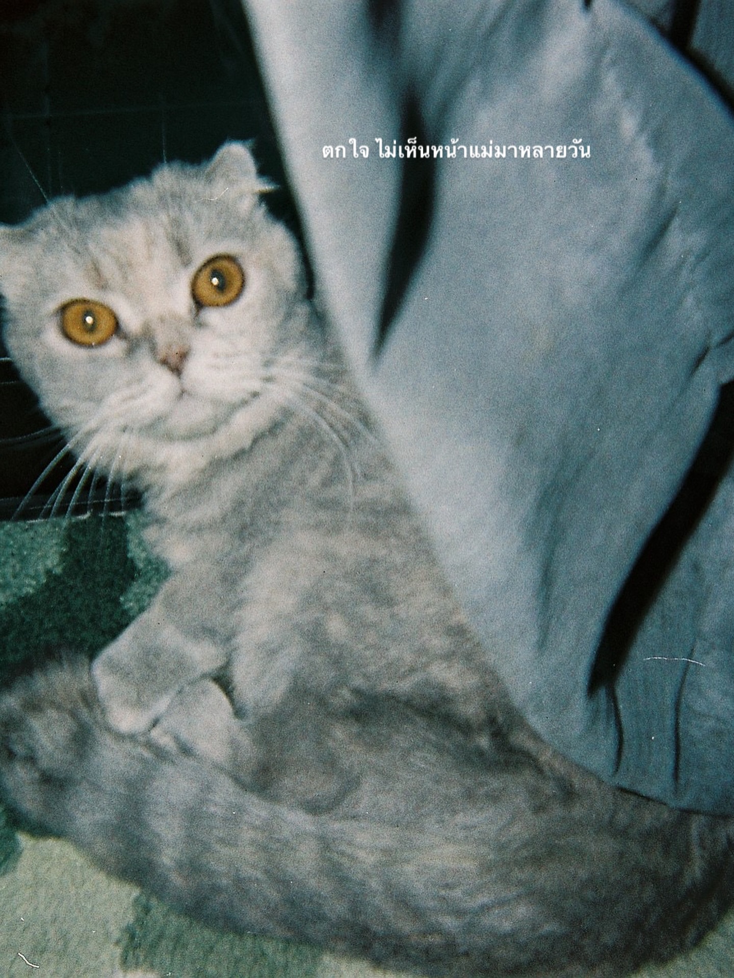 โฟร์ - ศกลรัตน์ วรอุไร