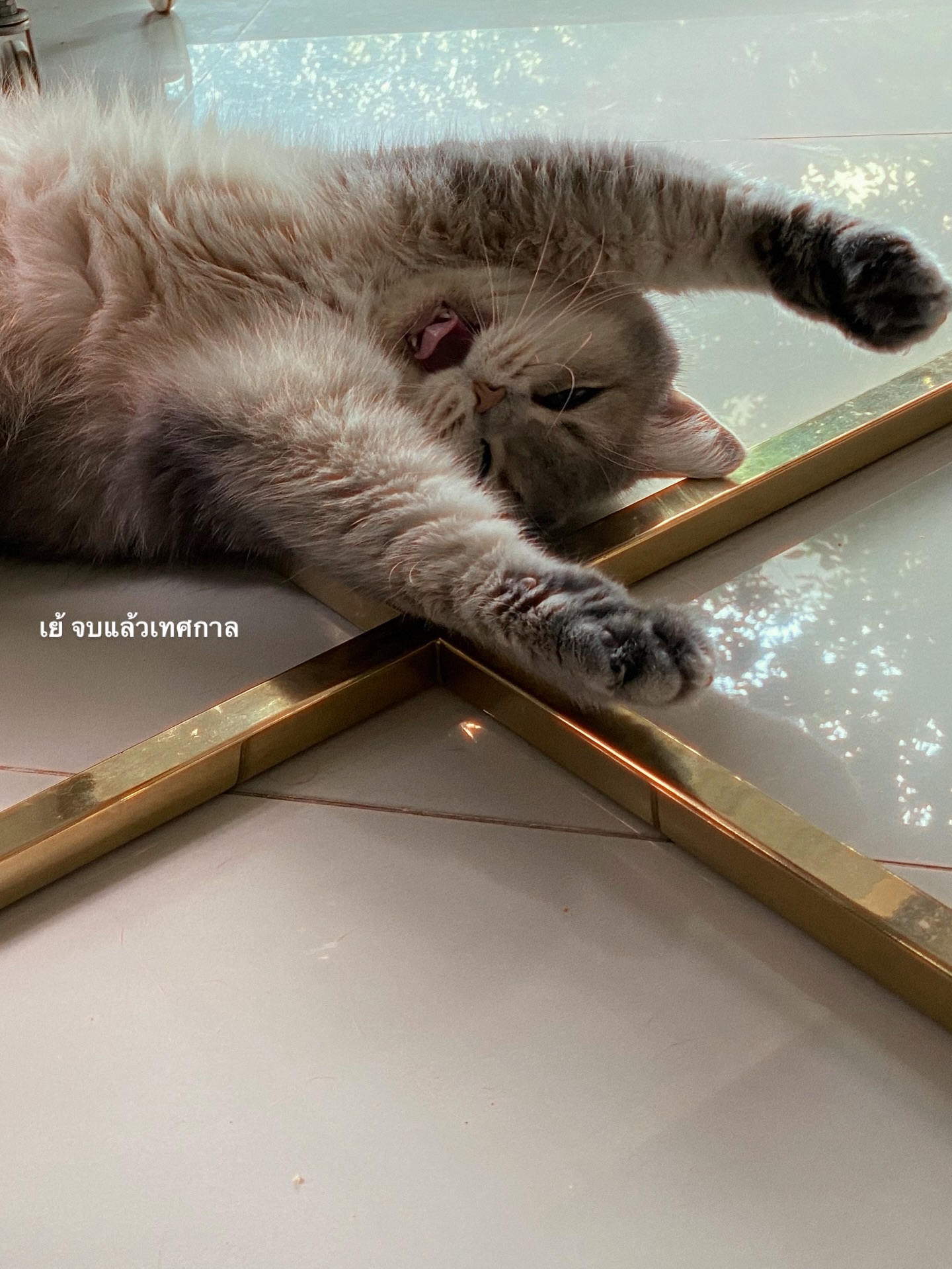 โฟร์ - ศกลรัตน์ วรอุไร