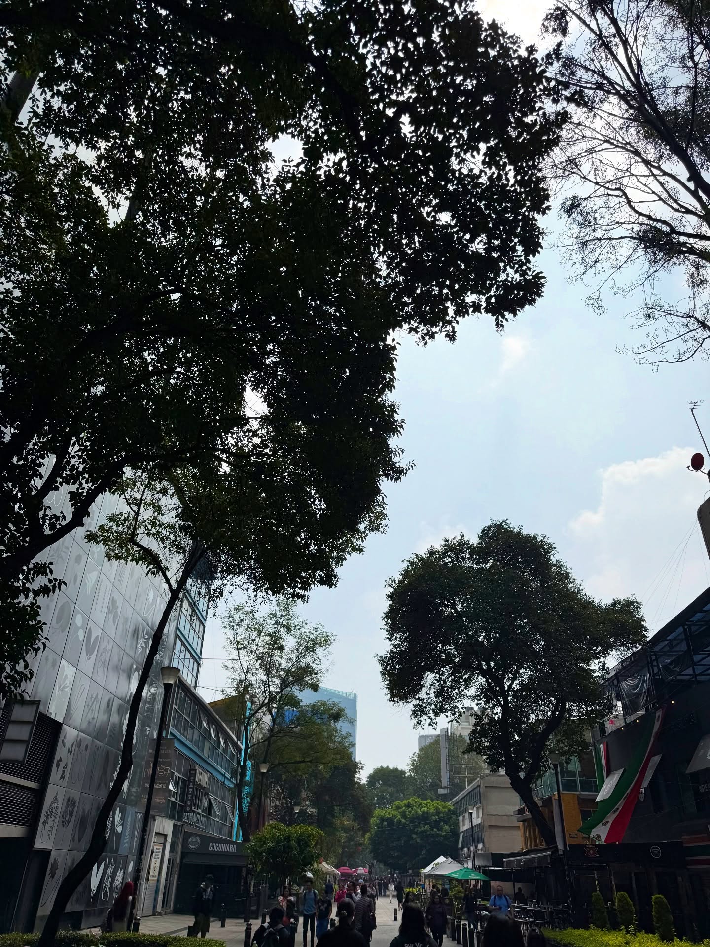 ภณ - ธนภณ เอี่ยมกำชัย