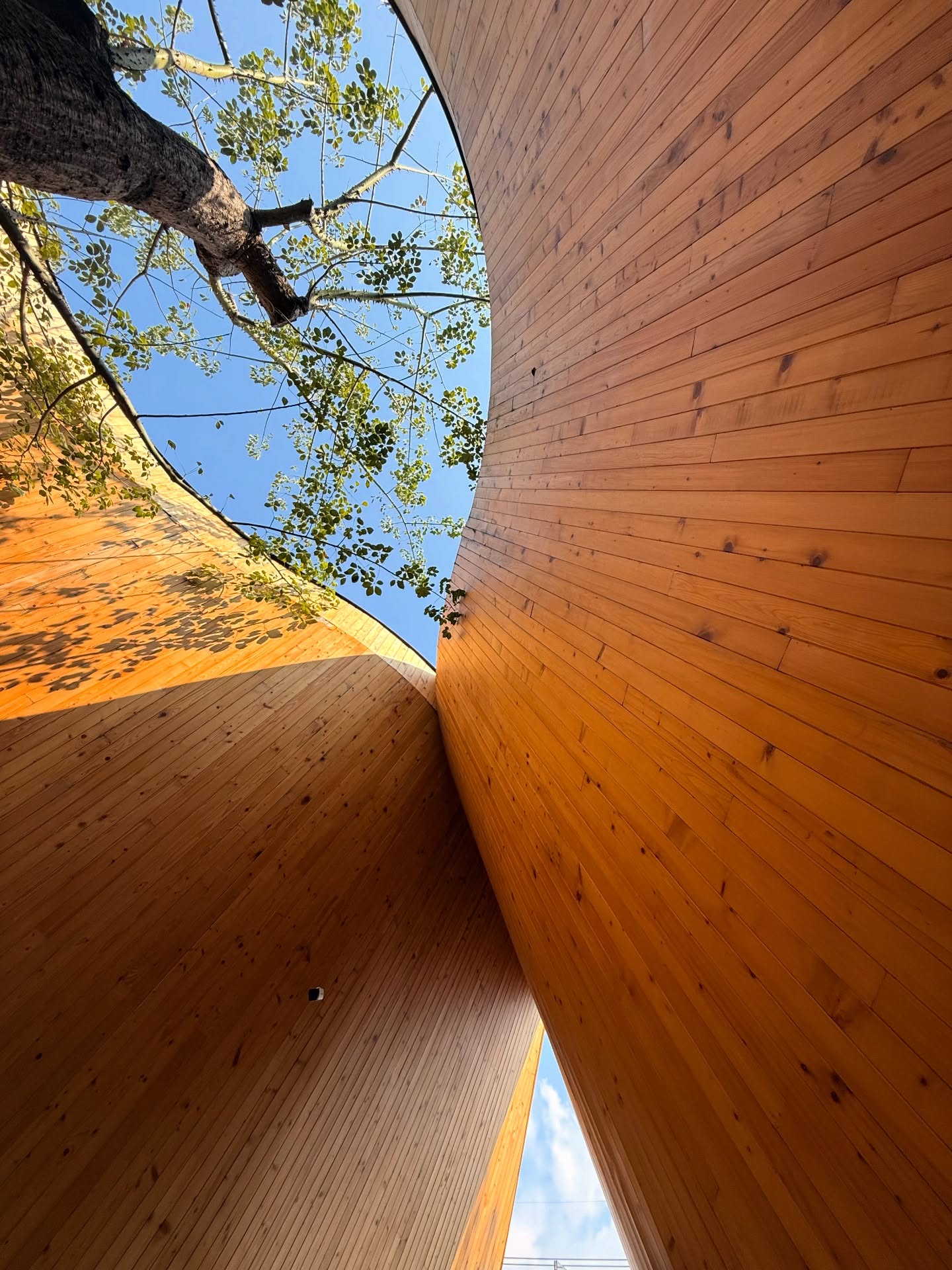 ภณ - ธนภณ เอี่ยมกำชัย