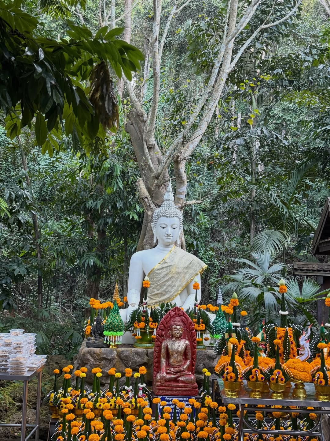 ภณ - ธนภณ เอี่ยมกำชัย