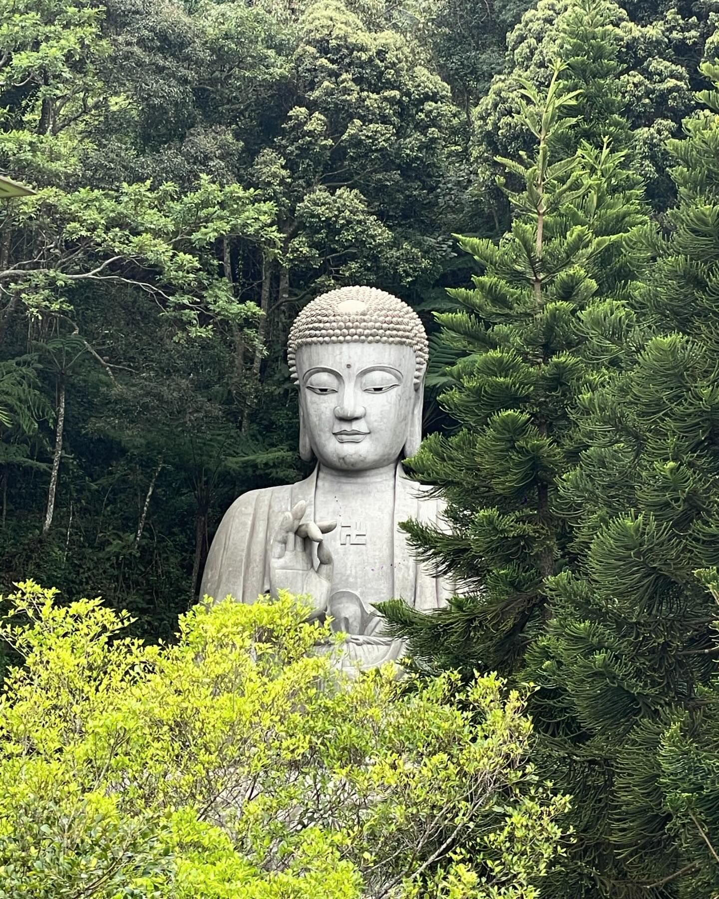 นท พนายางกูร