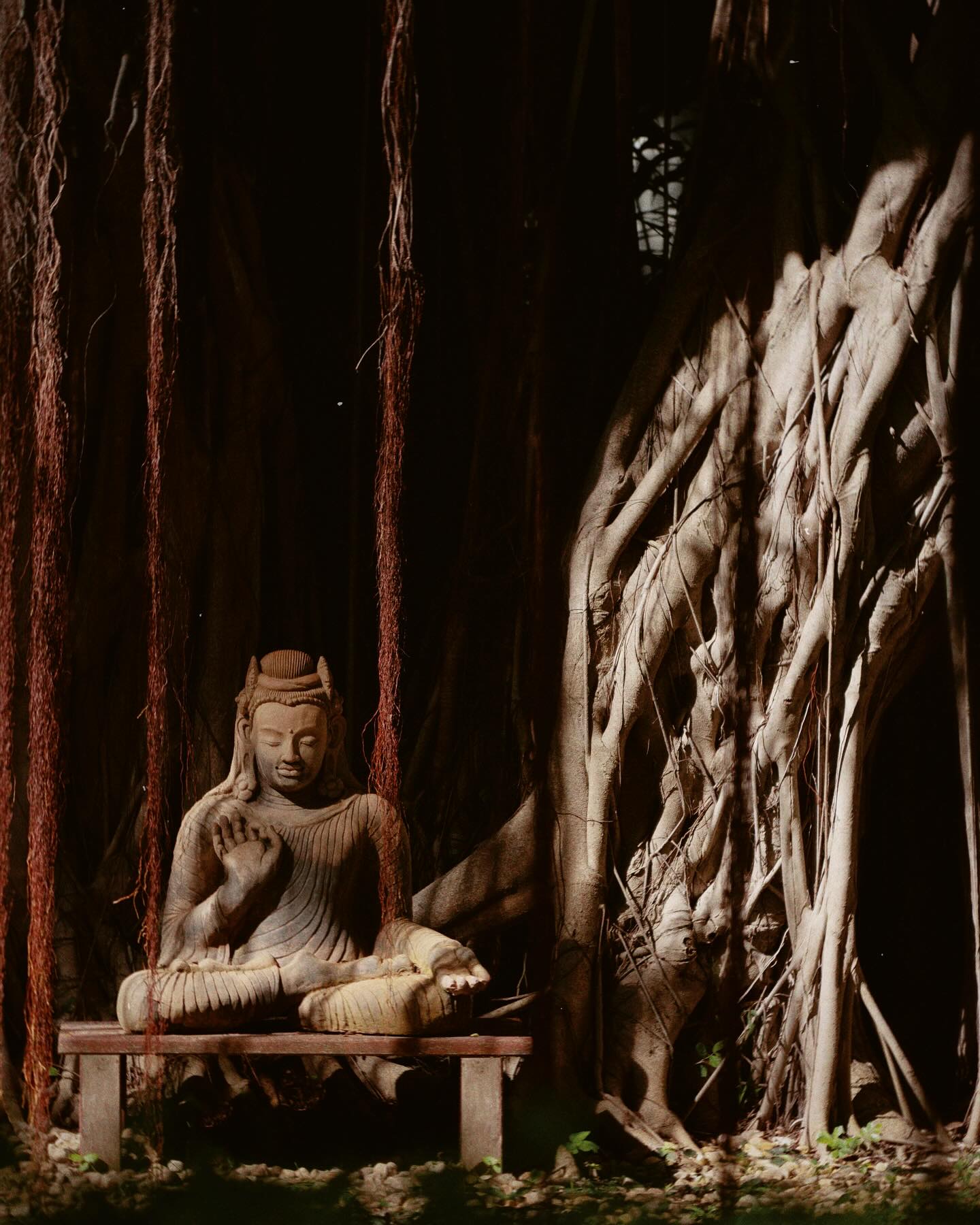นท พนายางกูร