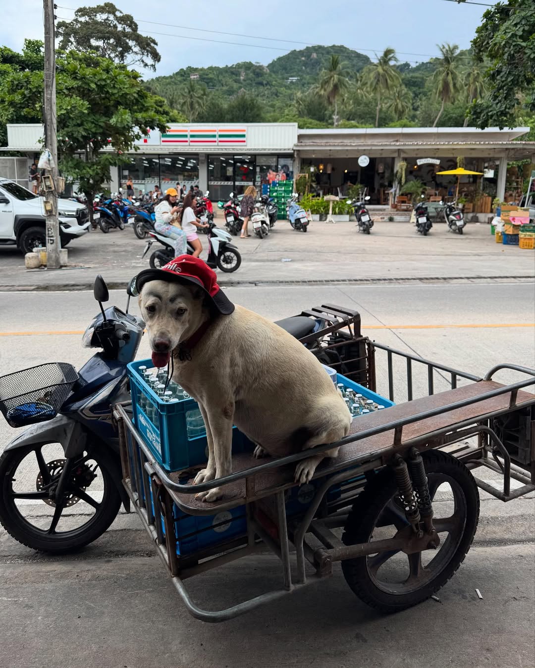 นท พนายางกูร