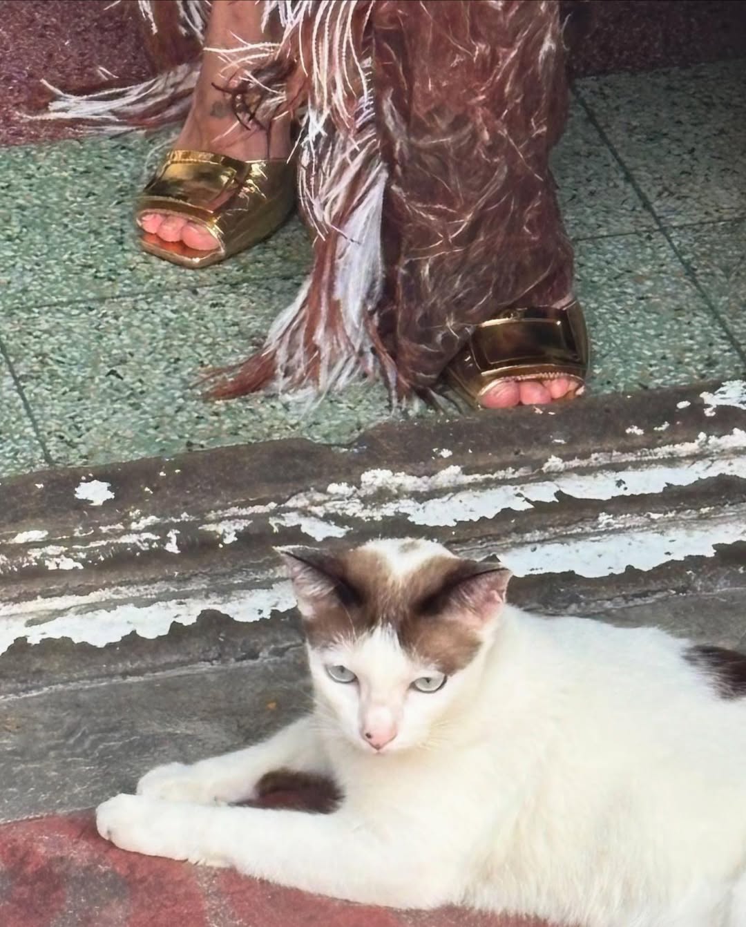 นท พนายางกูร