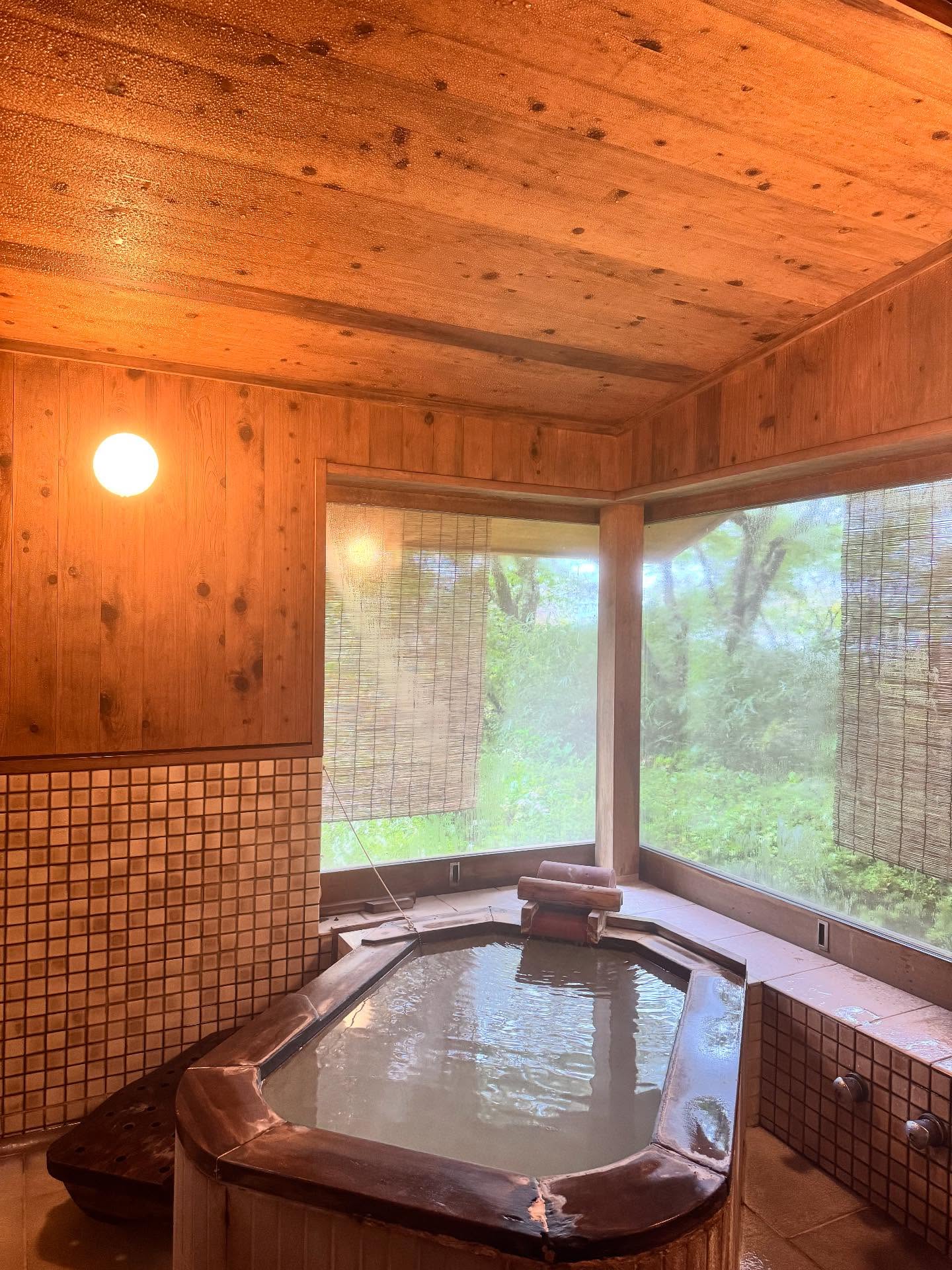 นท พนายางกูร