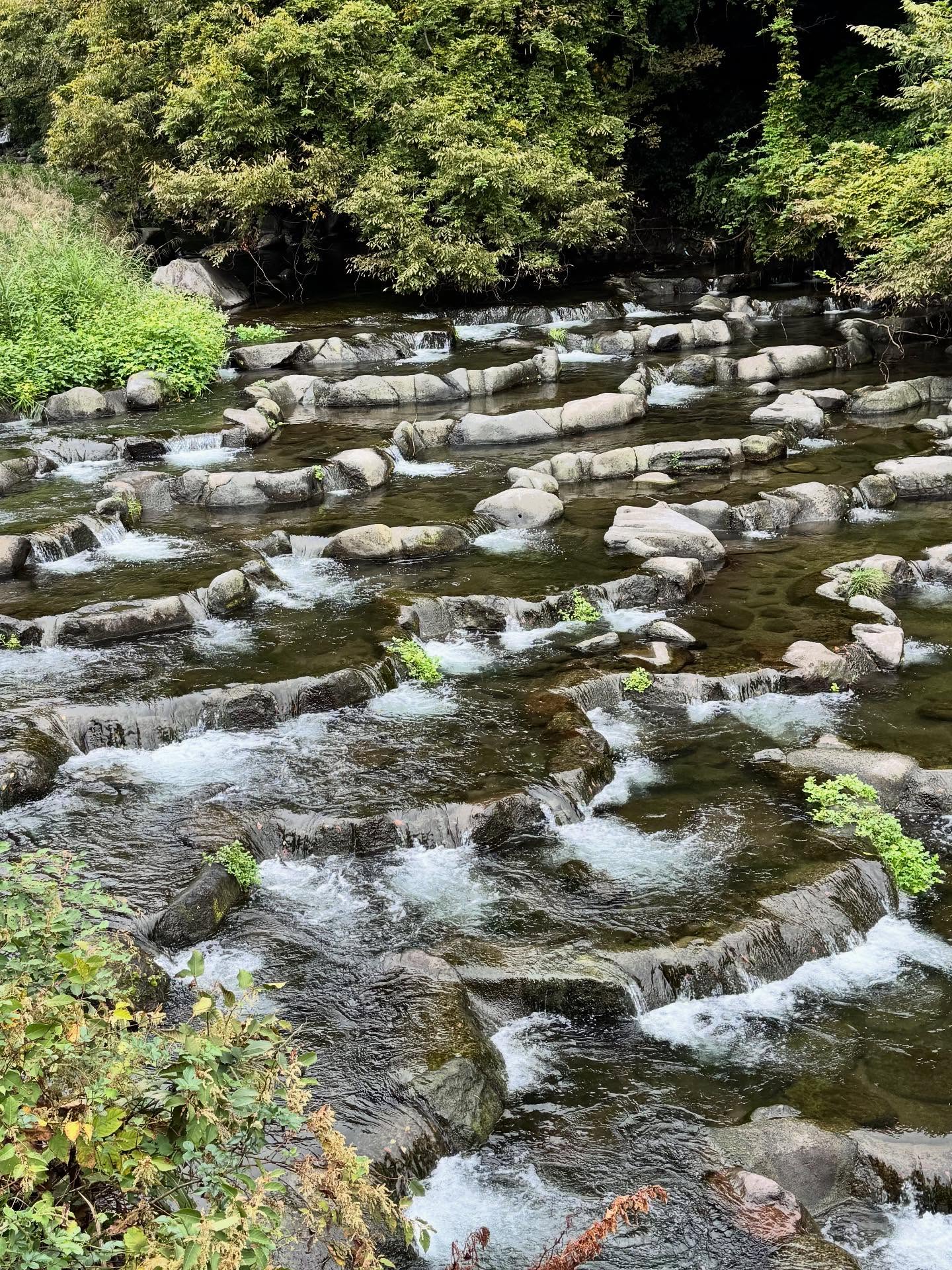 นท พนายางกูร