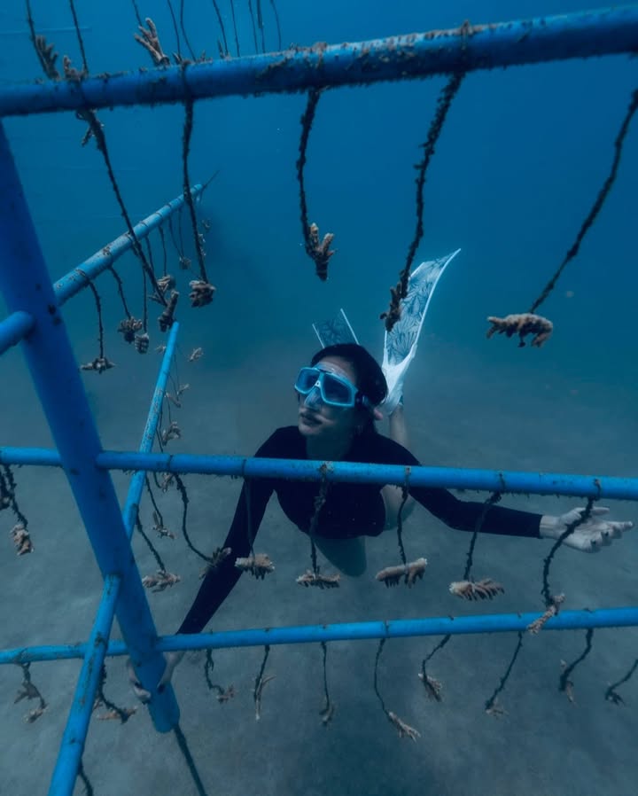 นท พนายางกูร