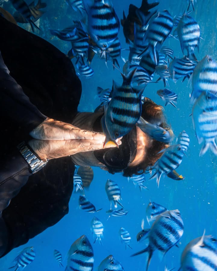 นท พนายางกูร