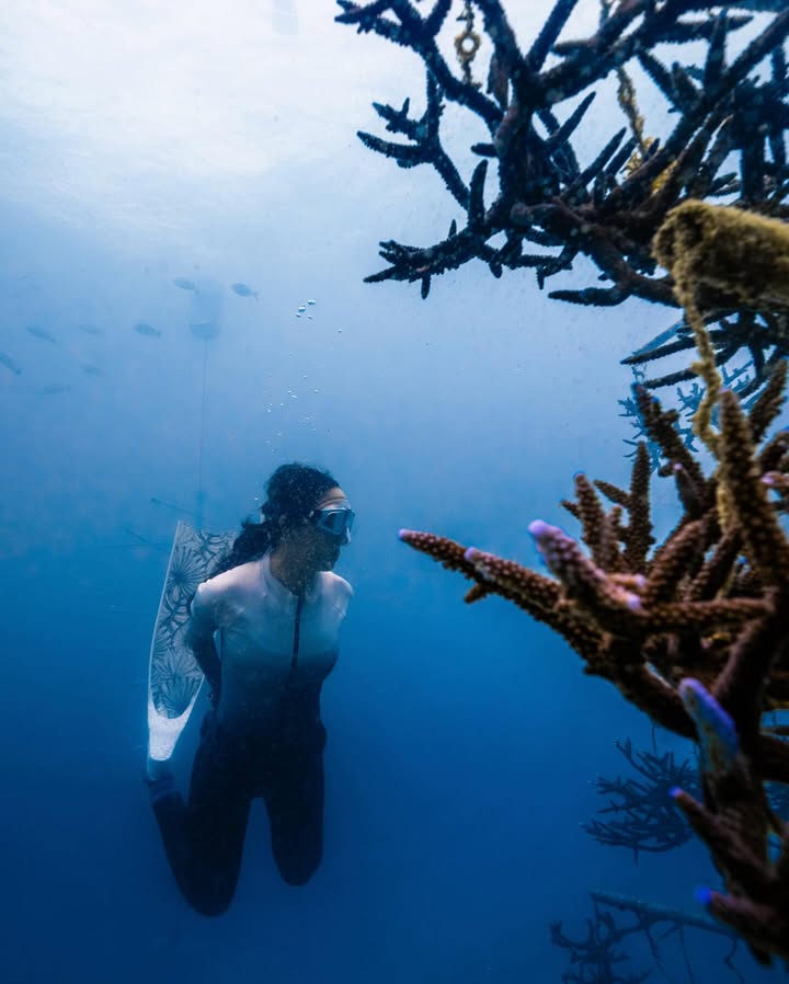 นท พนายางกูร