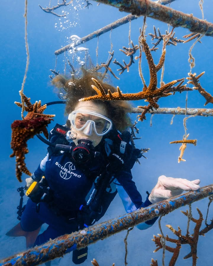 นท พนายางกูร